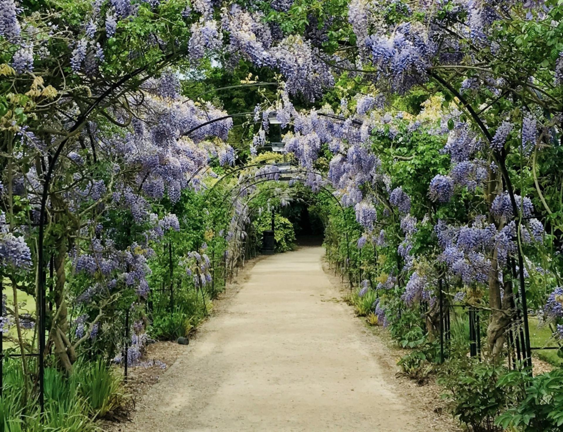 West Garden