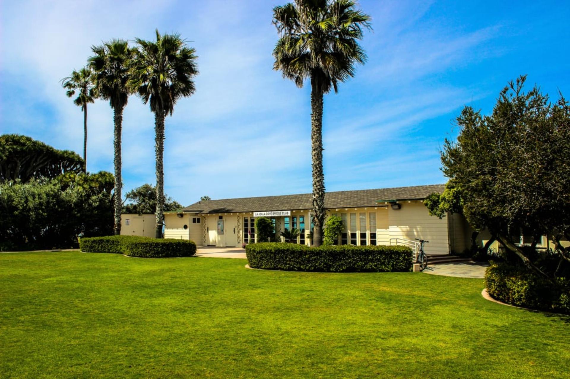 Lawn 