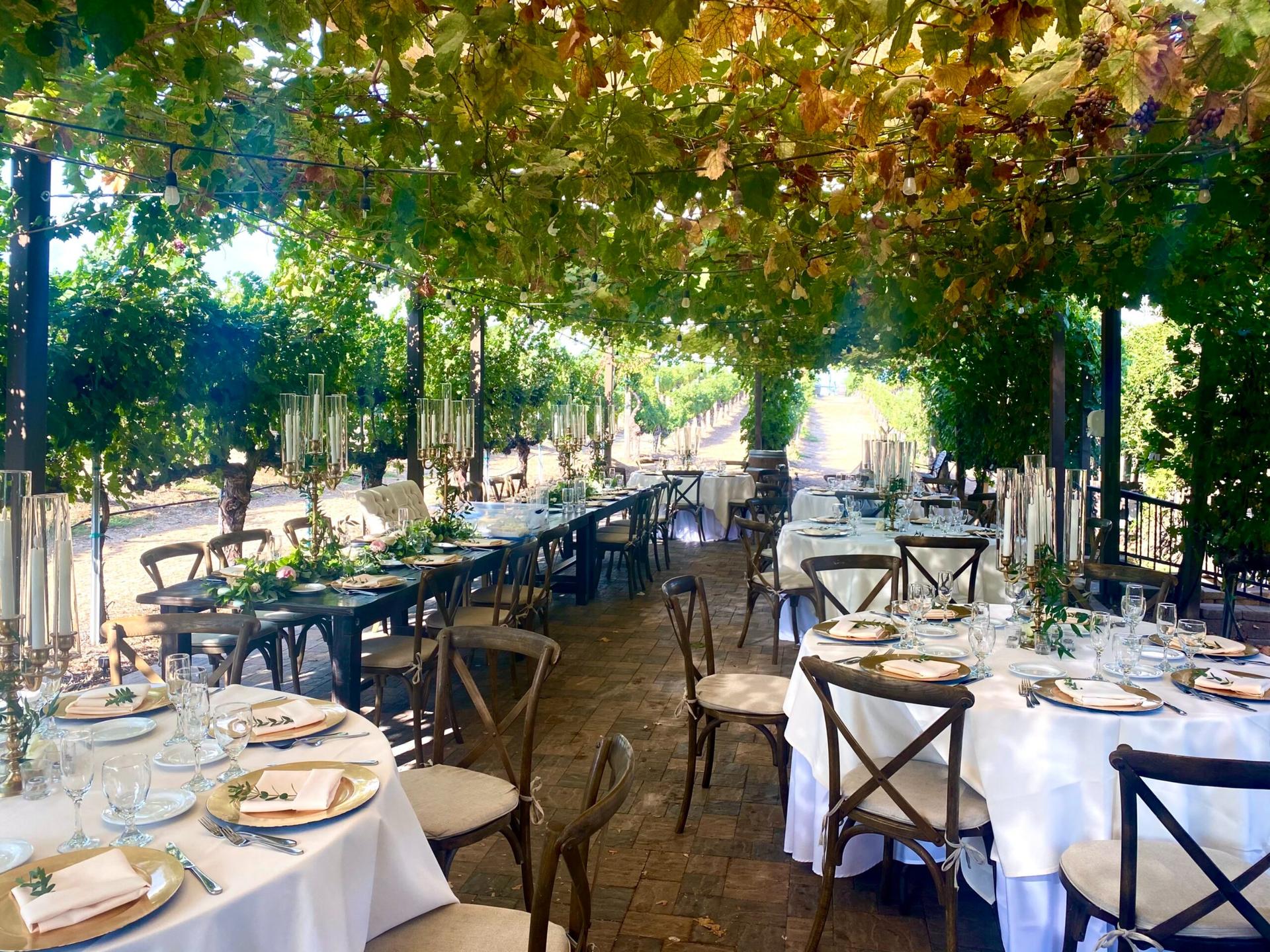 Vineyard Row	