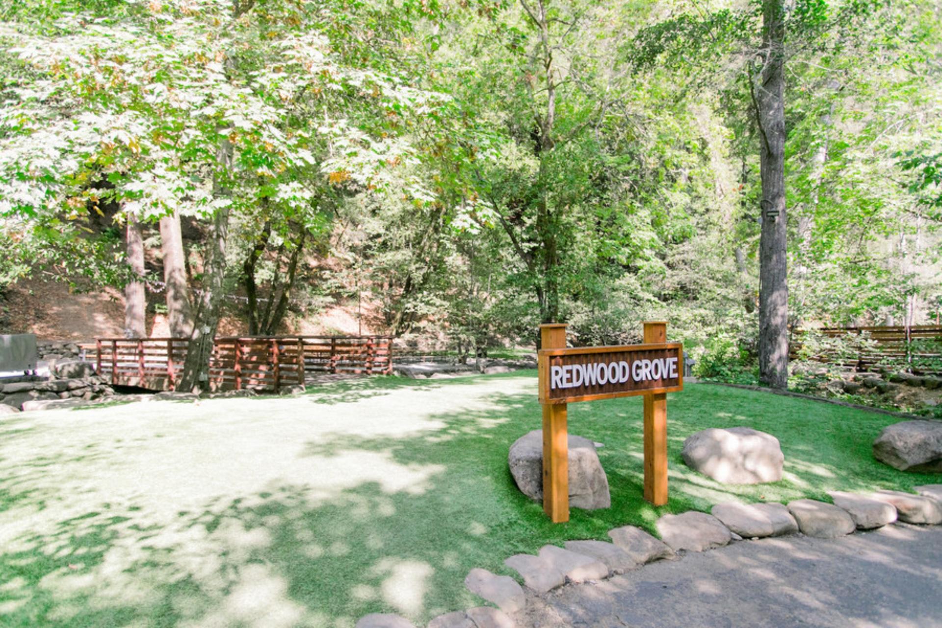 Redwood Grove