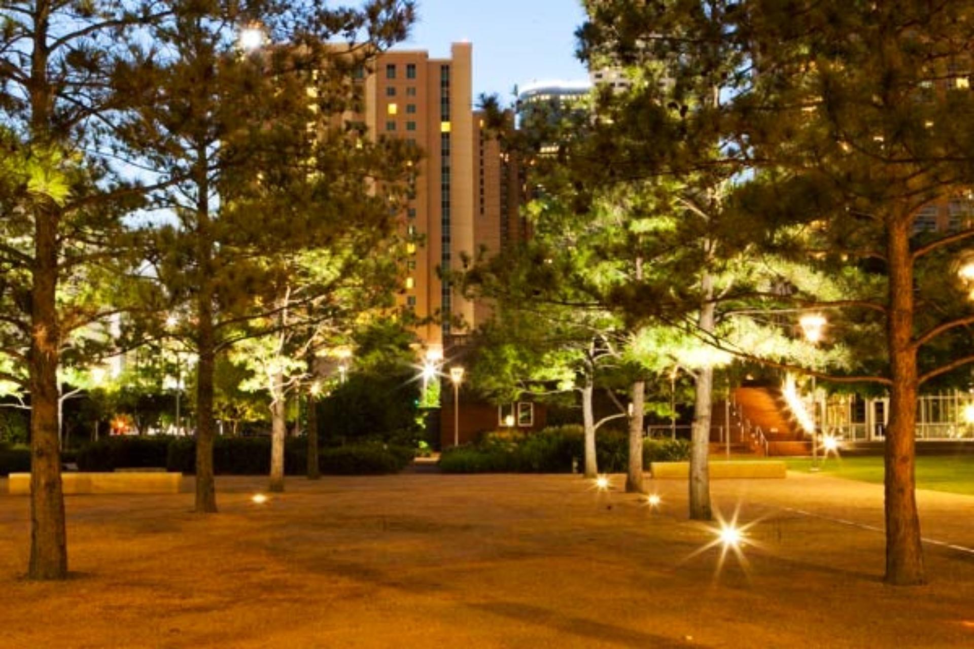 Maconda's Grove