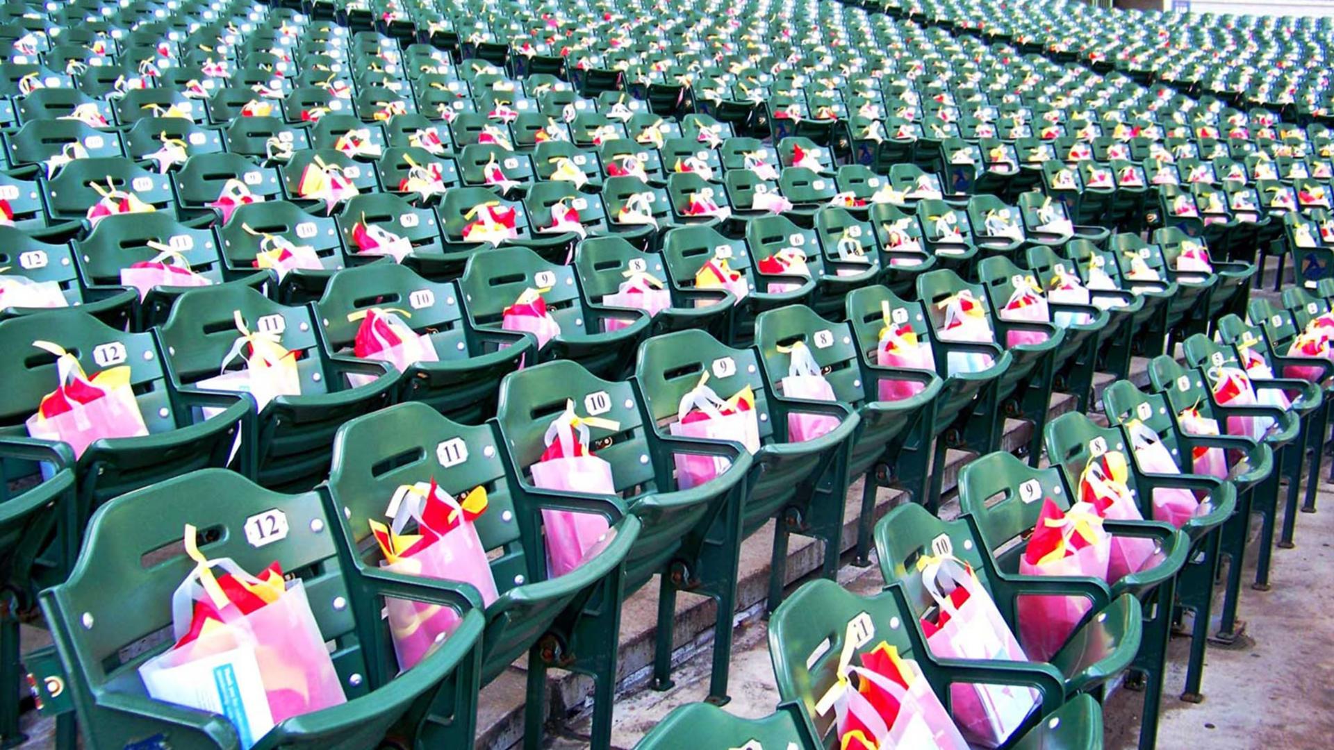 Seating Bowl & Concourses