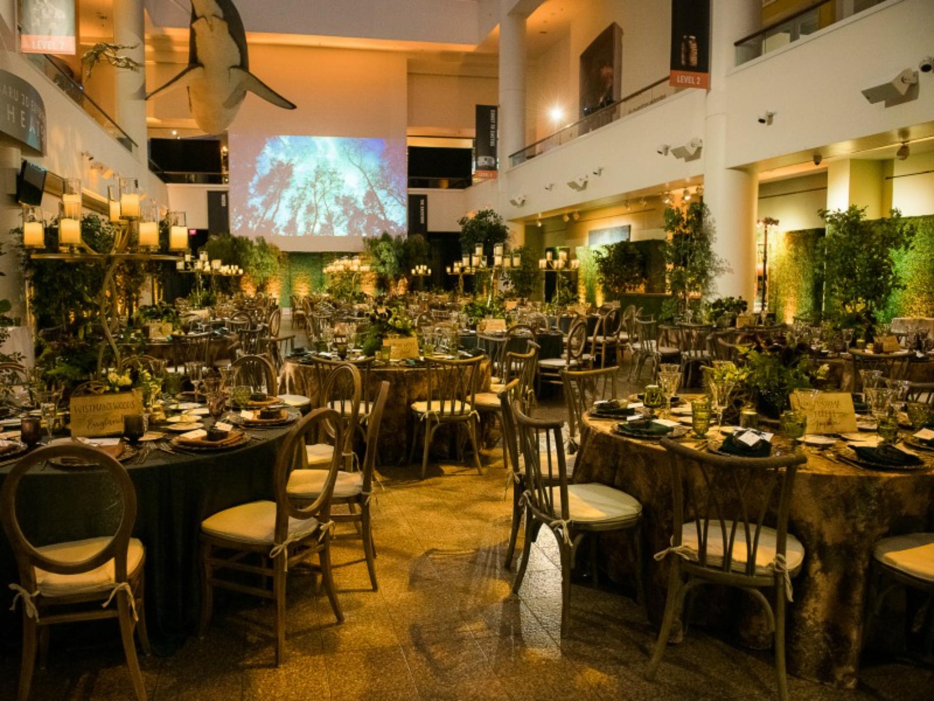 Main Level – Sefton Atrium