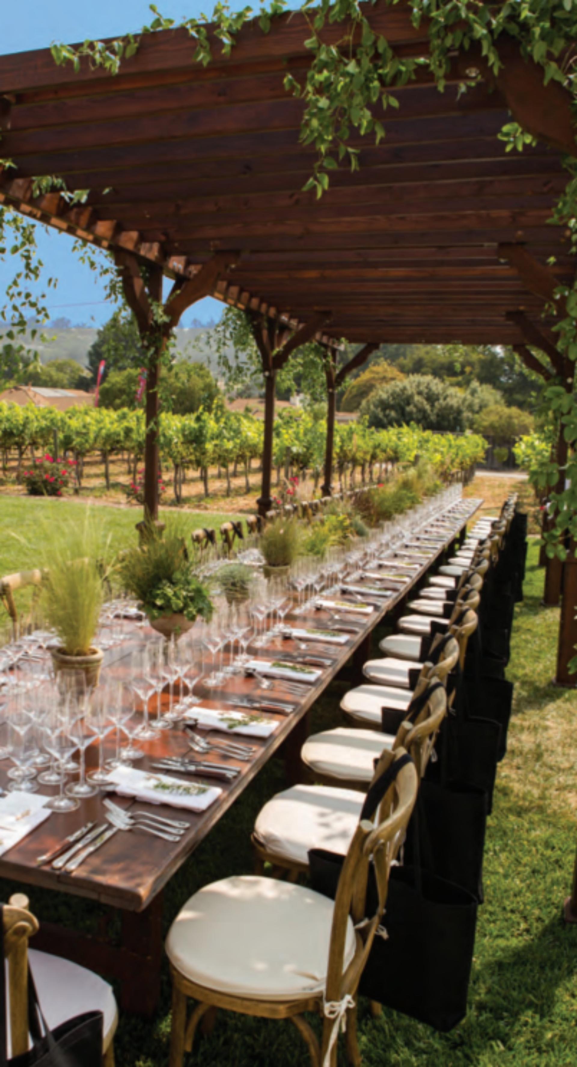 Rose Vineyard