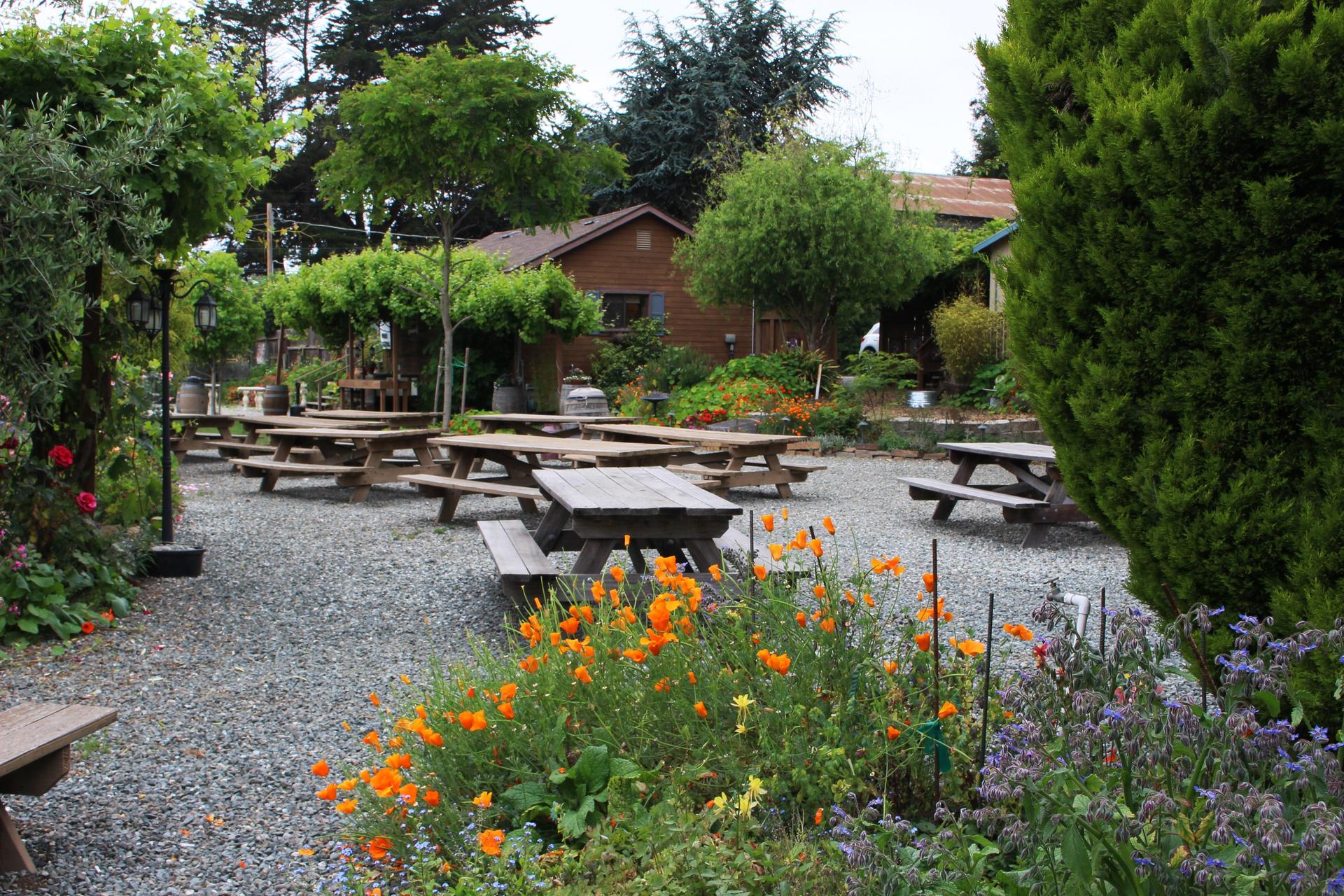 Outdoor Garden