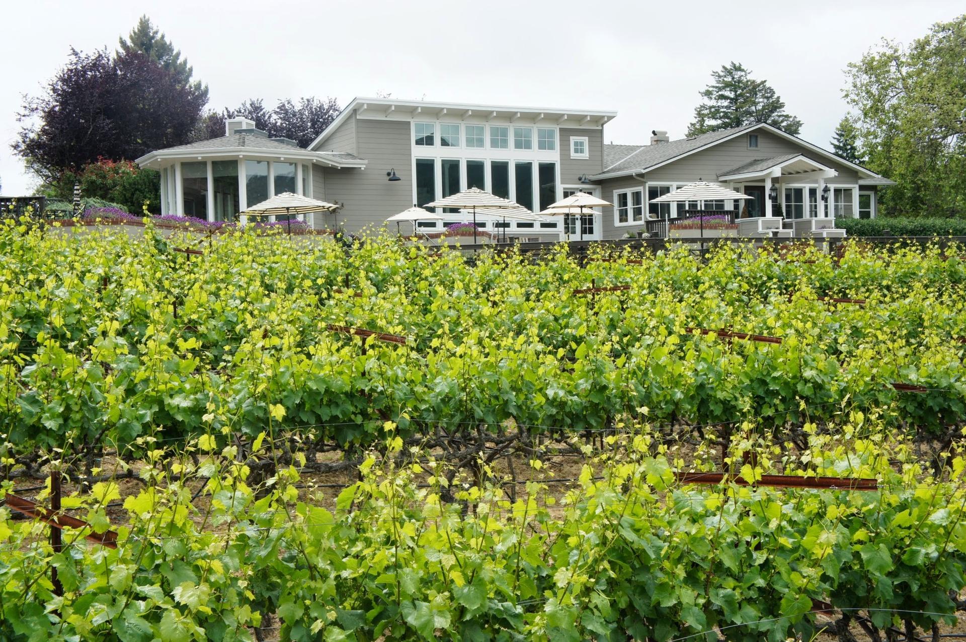 Full Venue: Outdoor Patio & Indoor Tasting Room