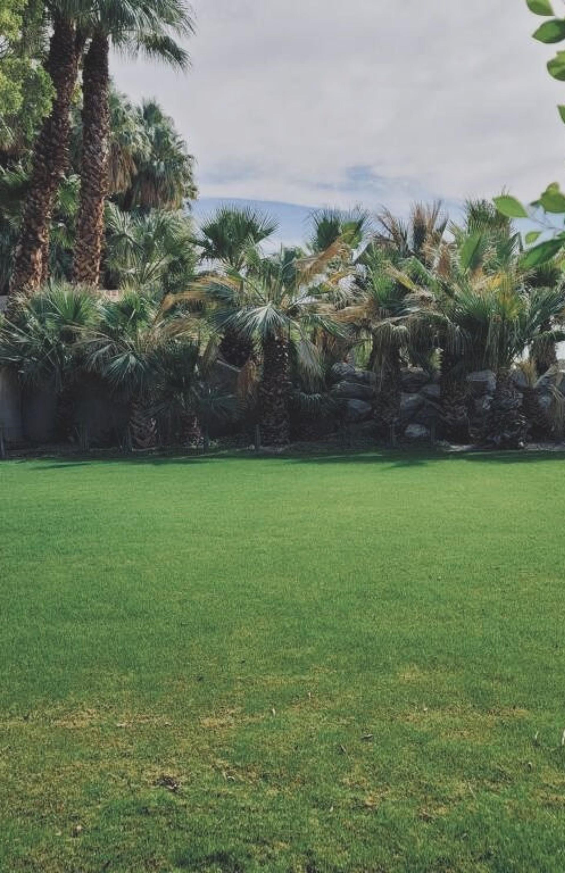 The Lawn