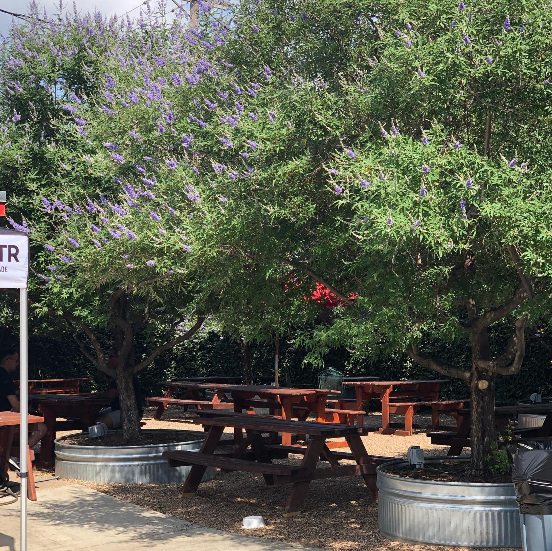 Beer Garden