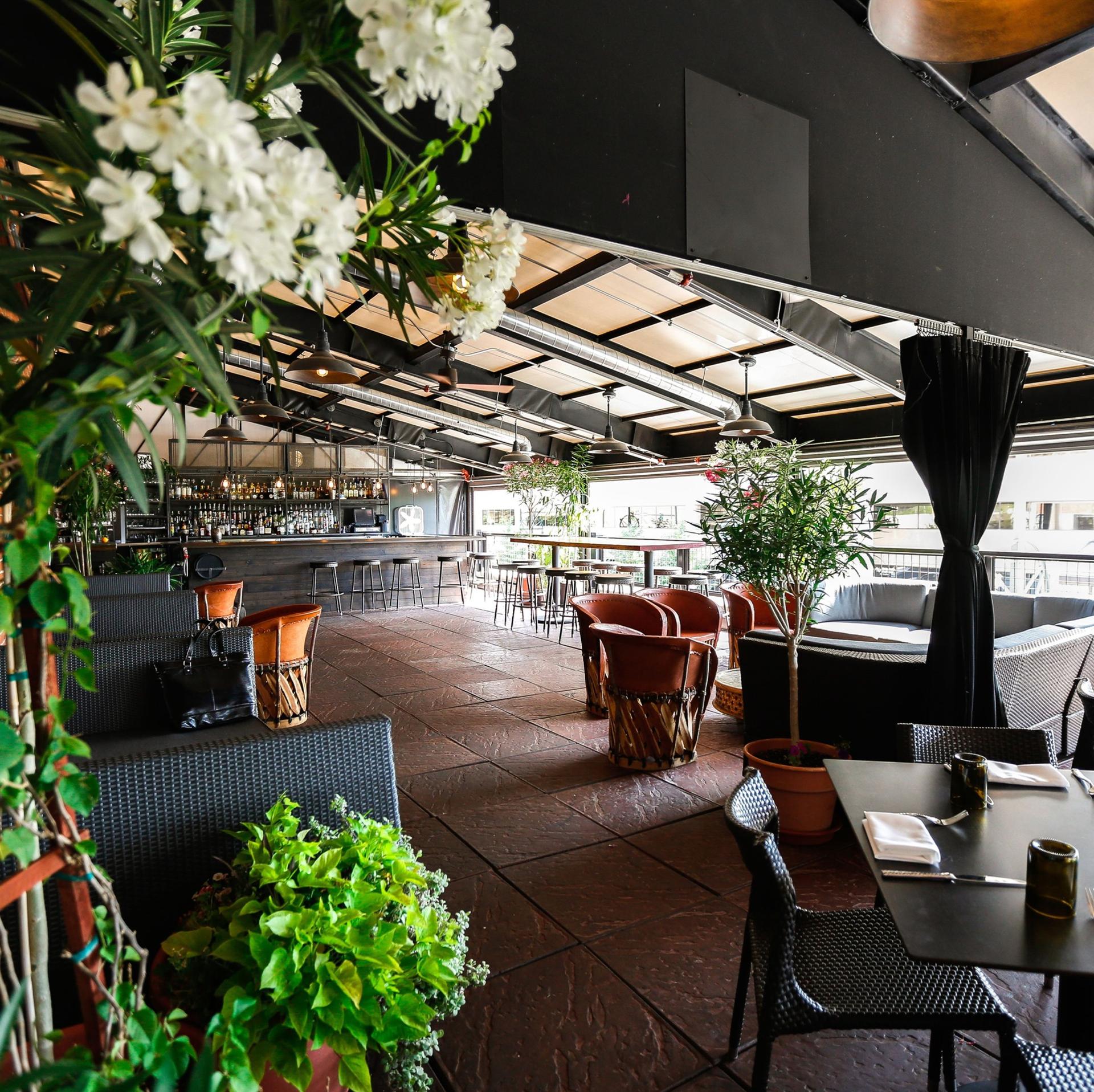 Outdoor Terrace