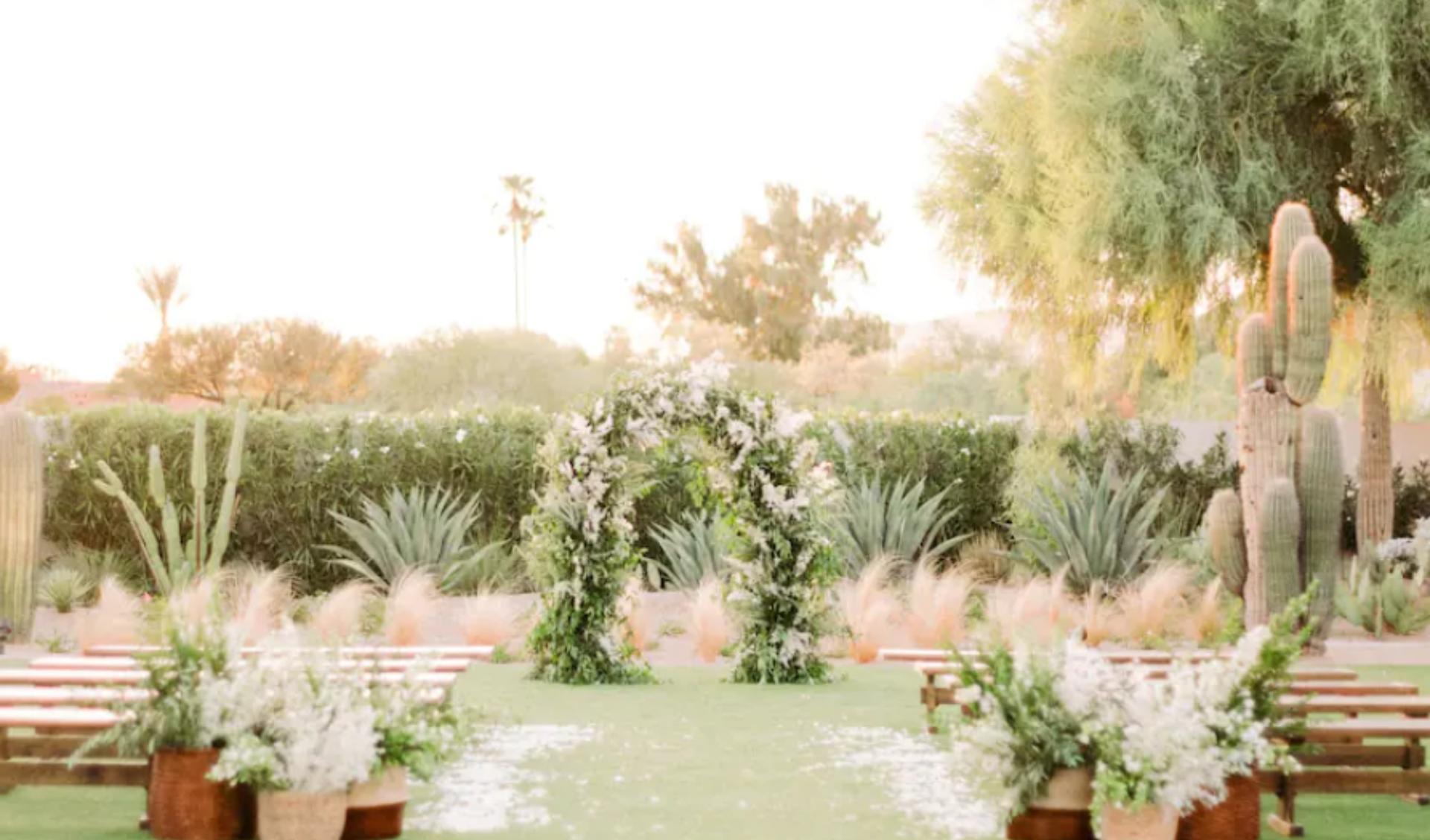 Cholla Lawn