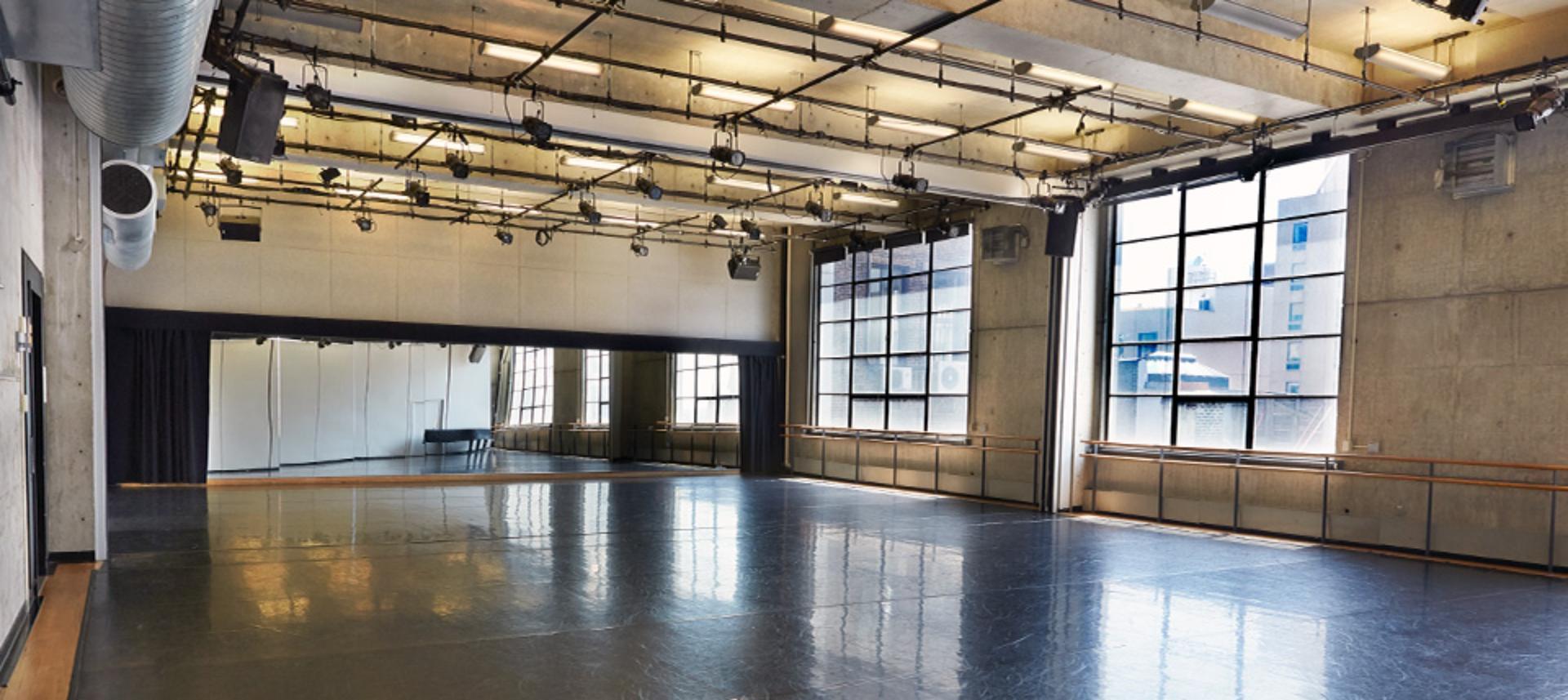 Howard Gilman Performance Space