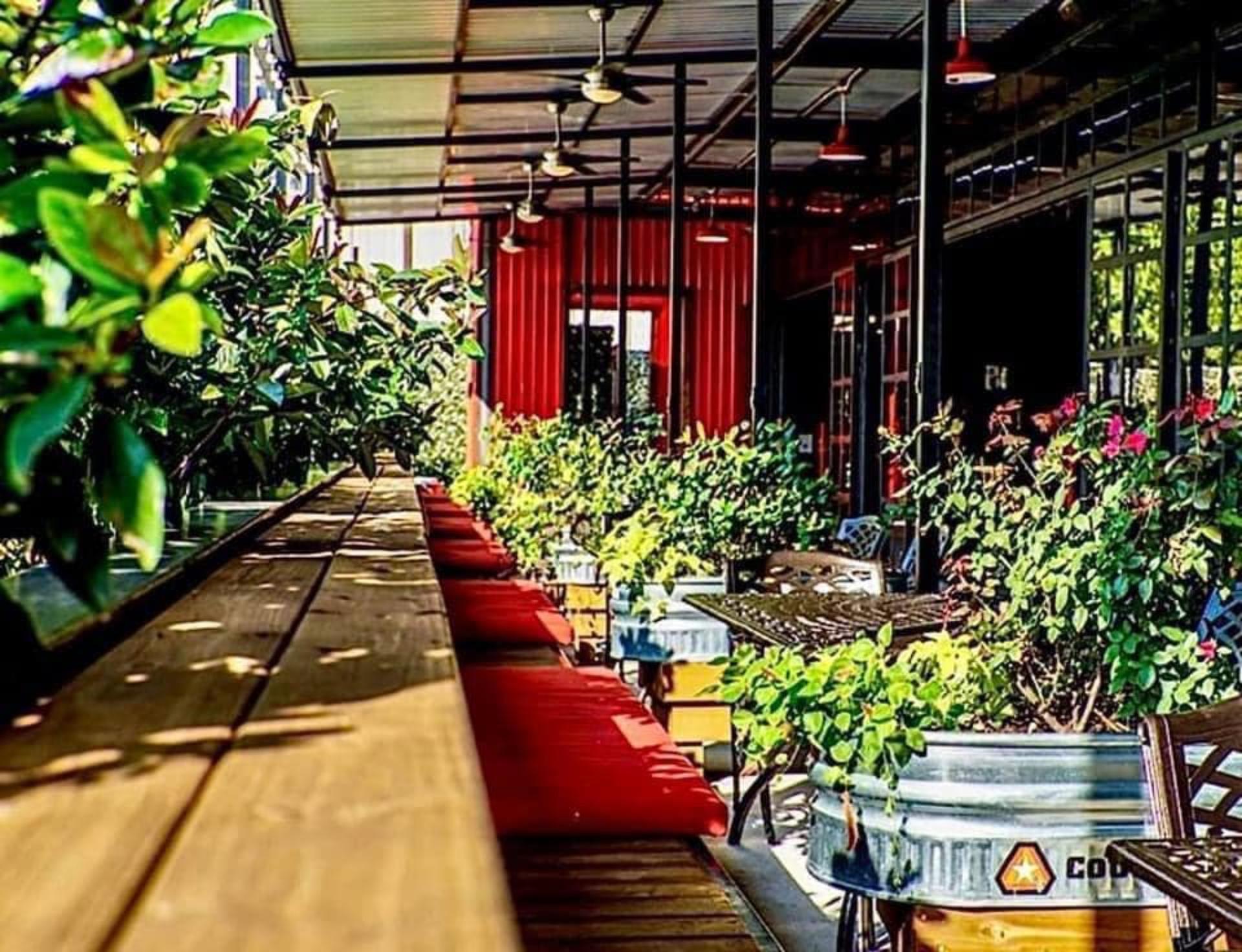 The Garden