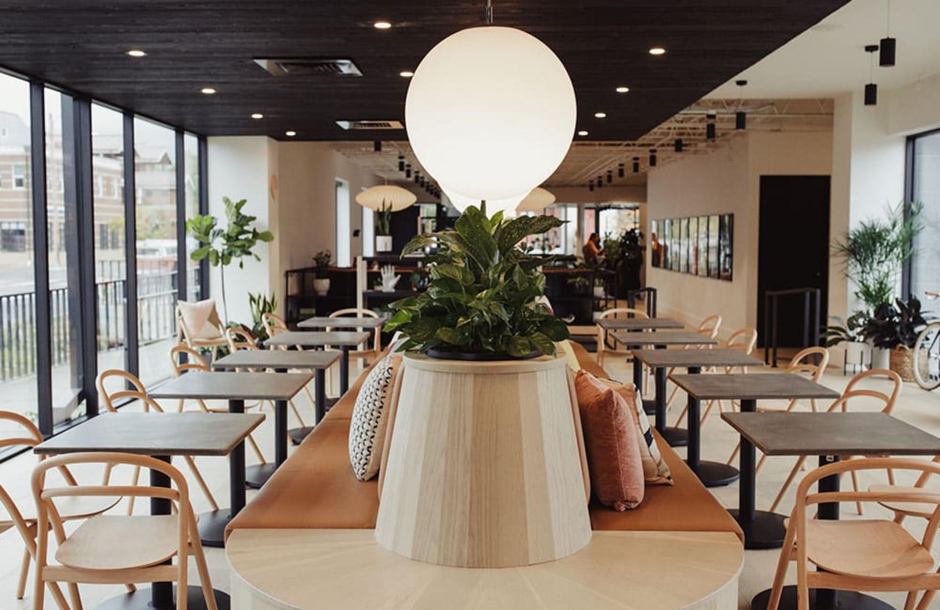 Cafe