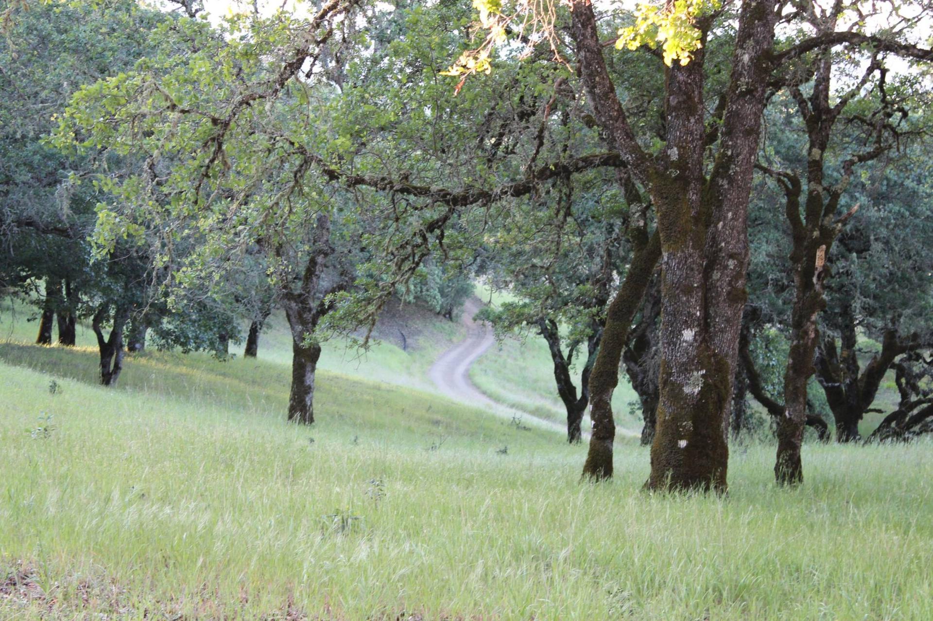 Hiking Trail