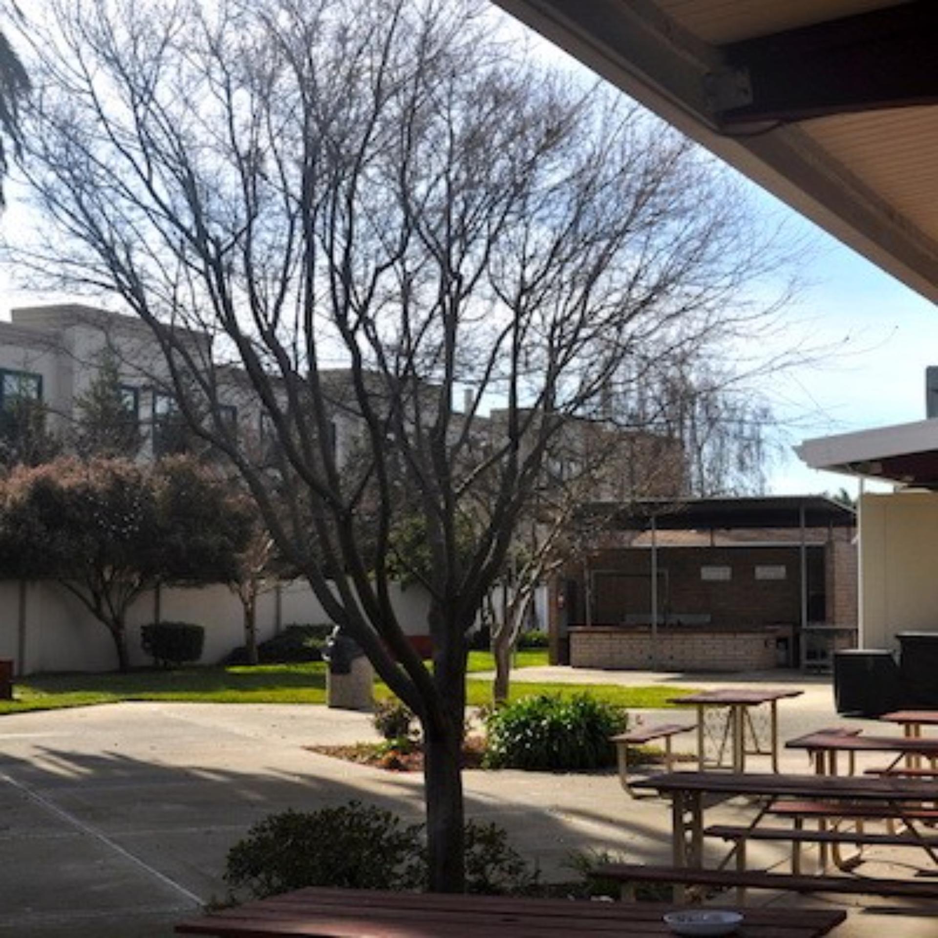 Outdoor Patio