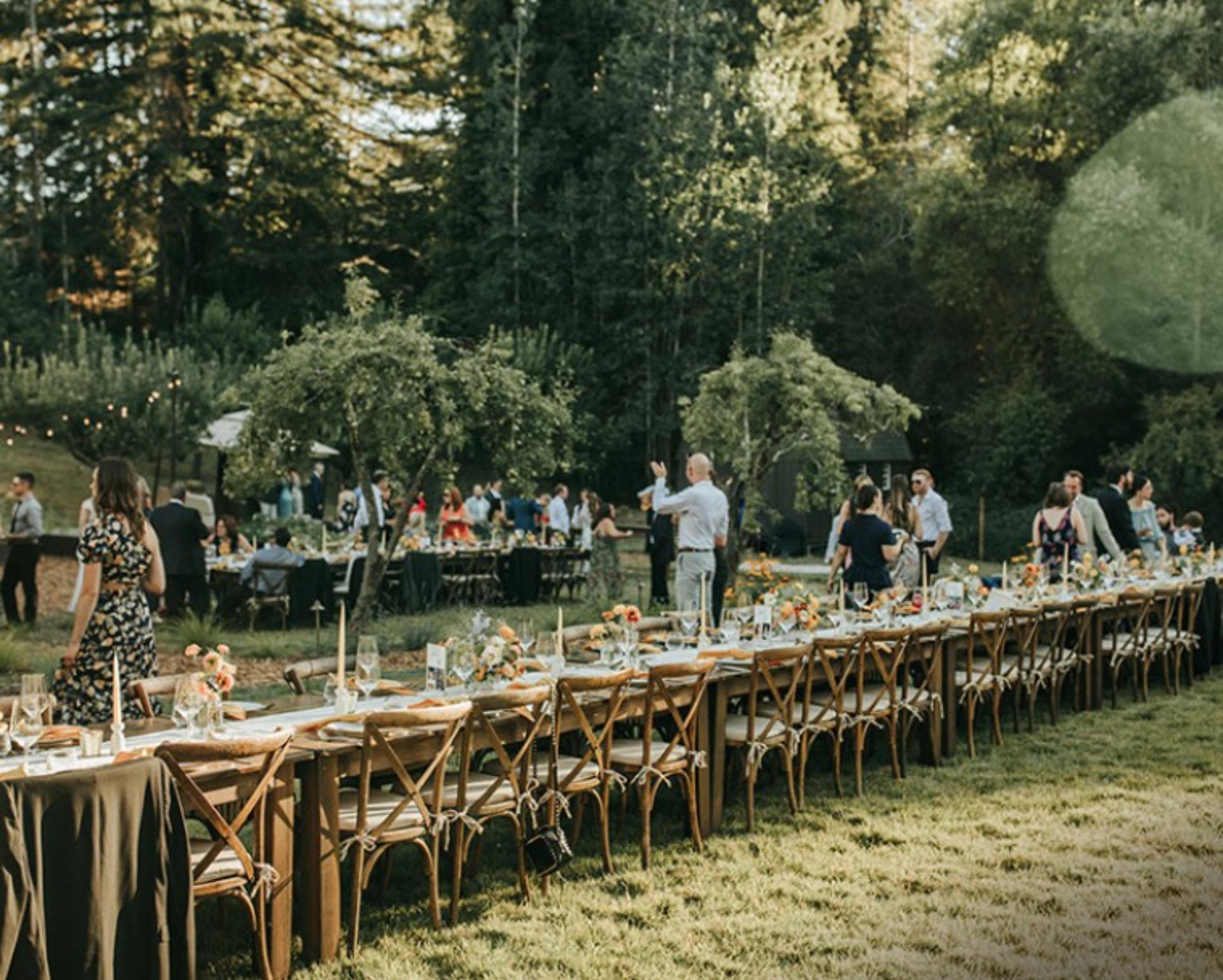 Chef's Meadow
