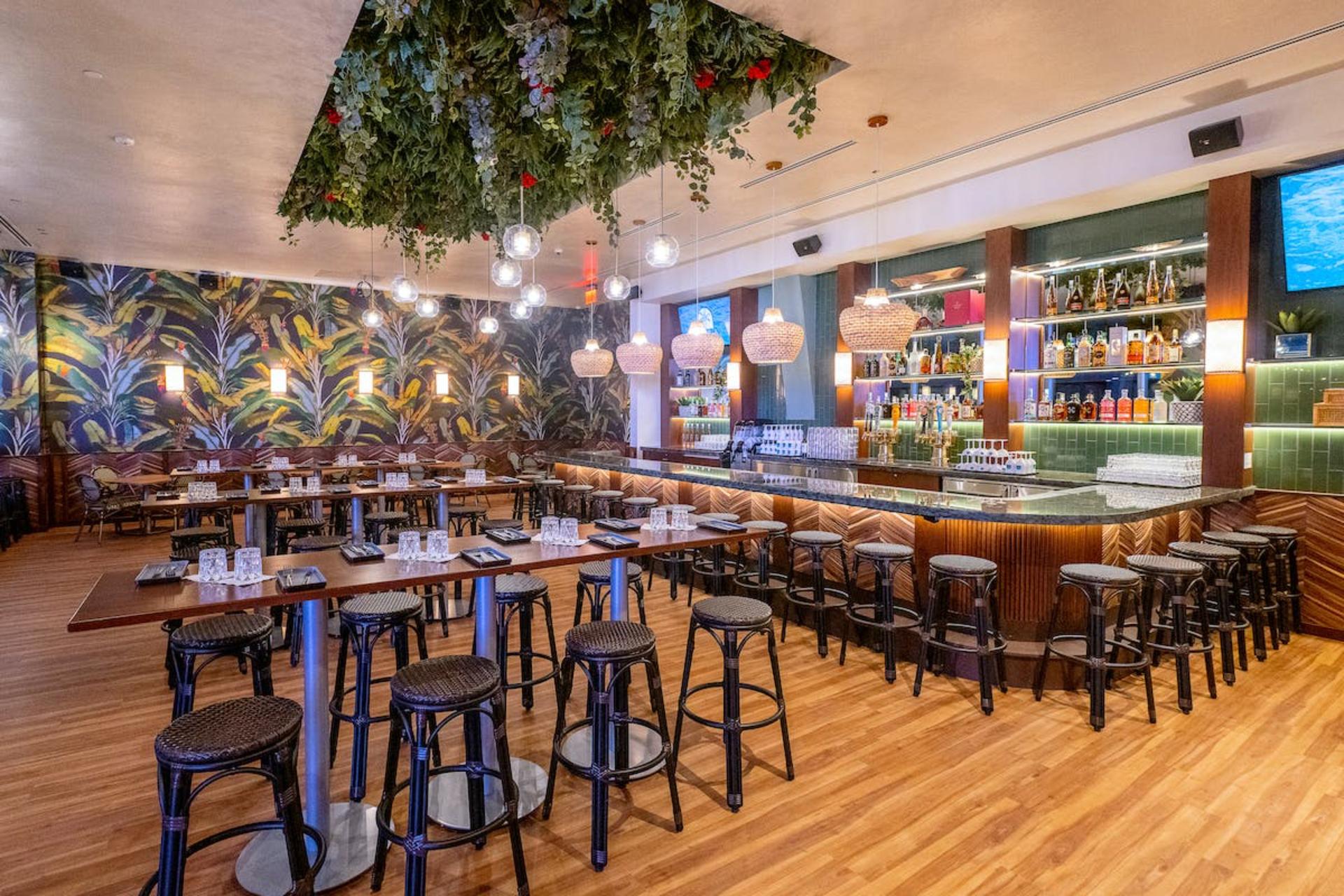 Palm Bar