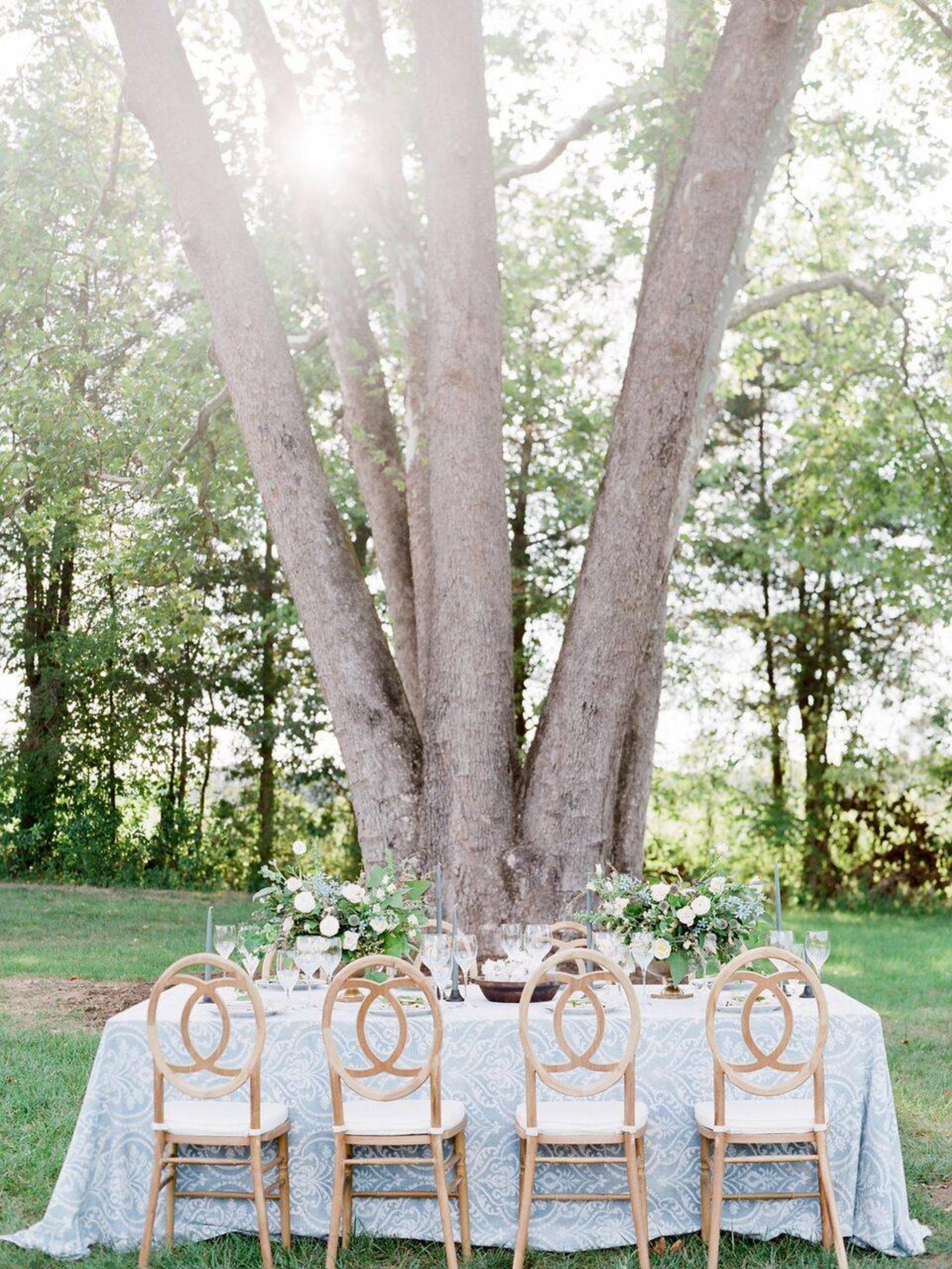 The Sycamore Tree