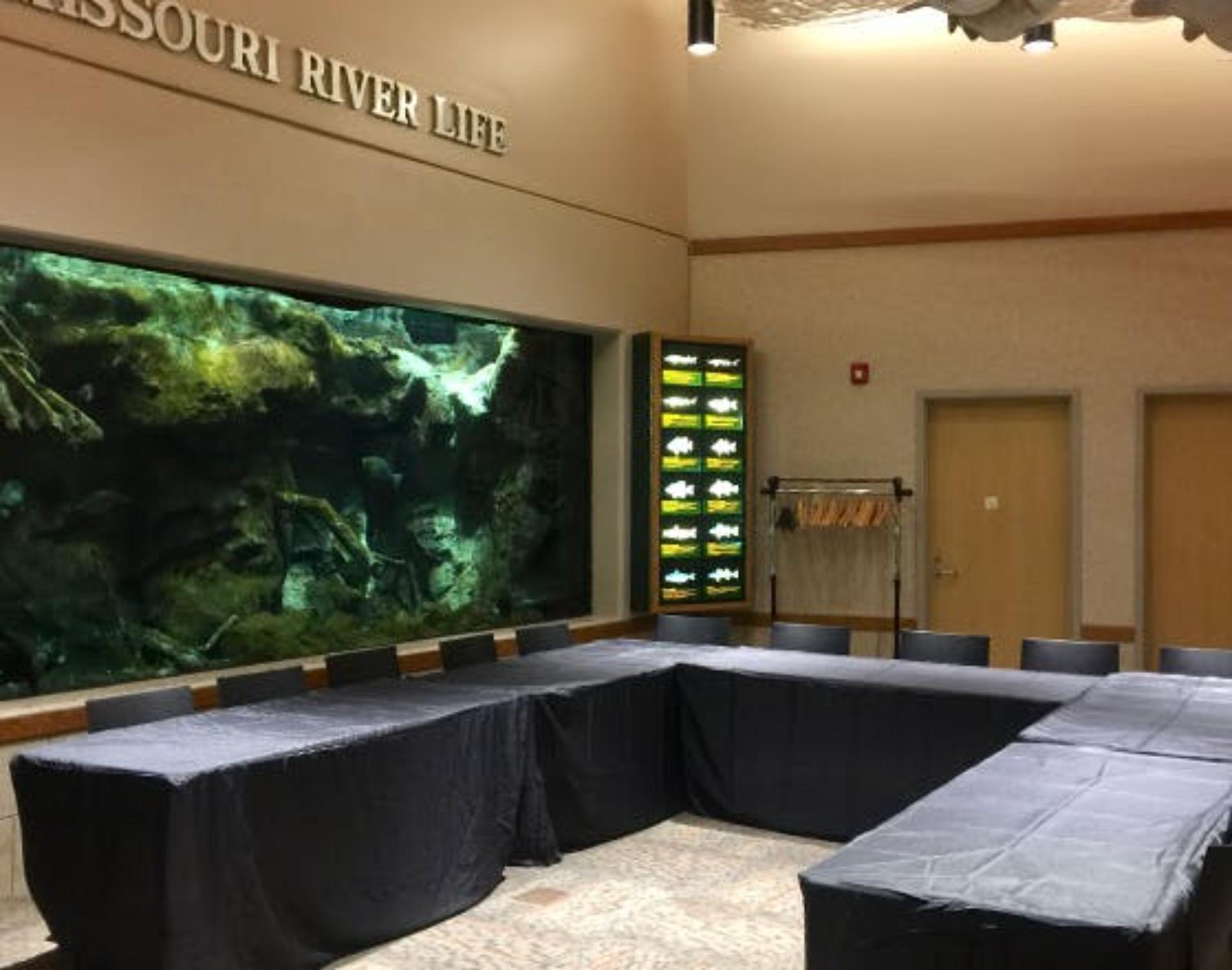 Aquarium Room