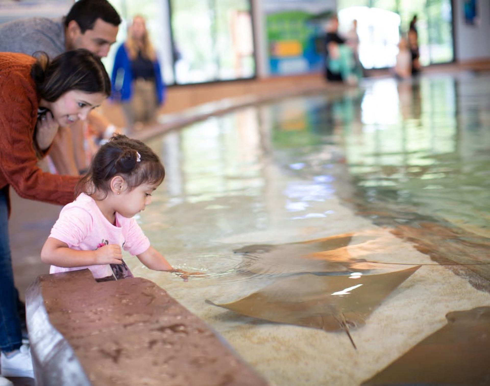Stingray Bay