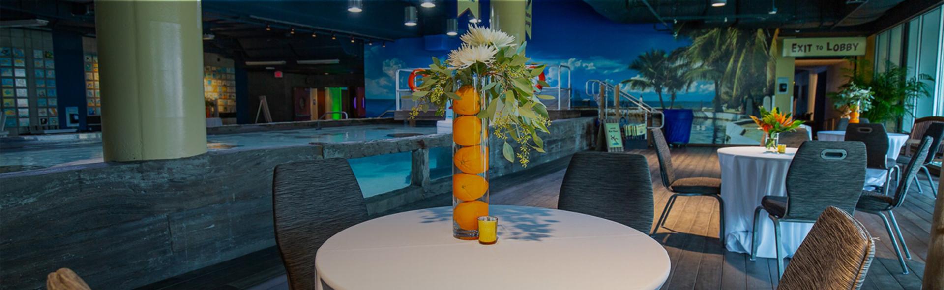 Full Buyout of The Florida Aquarium
