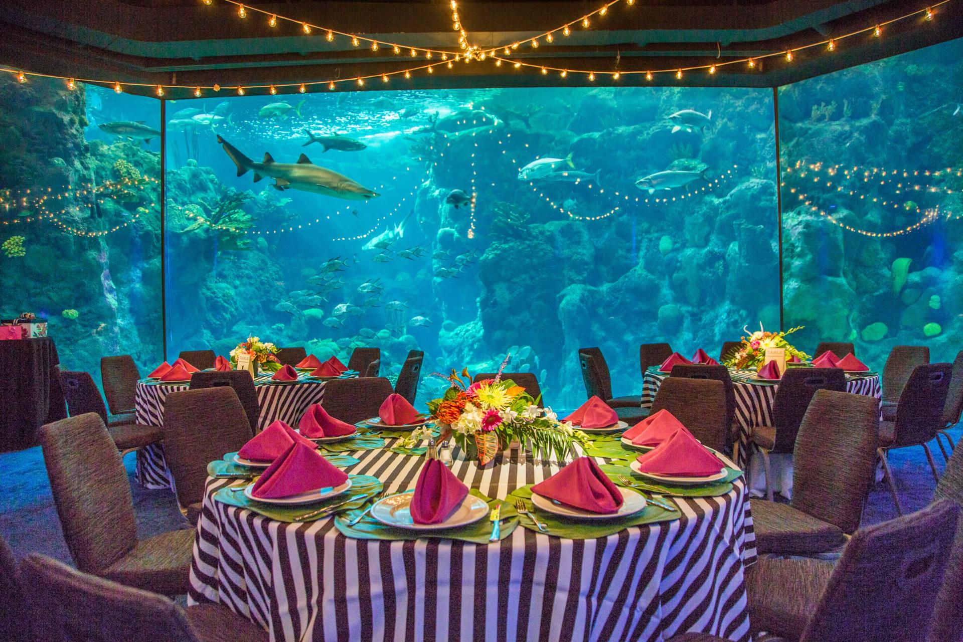 Coral Reef Gallery