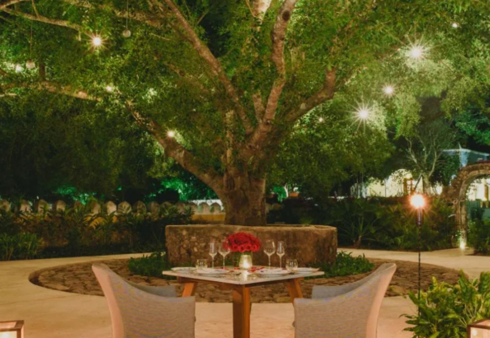 Lanterns Garden