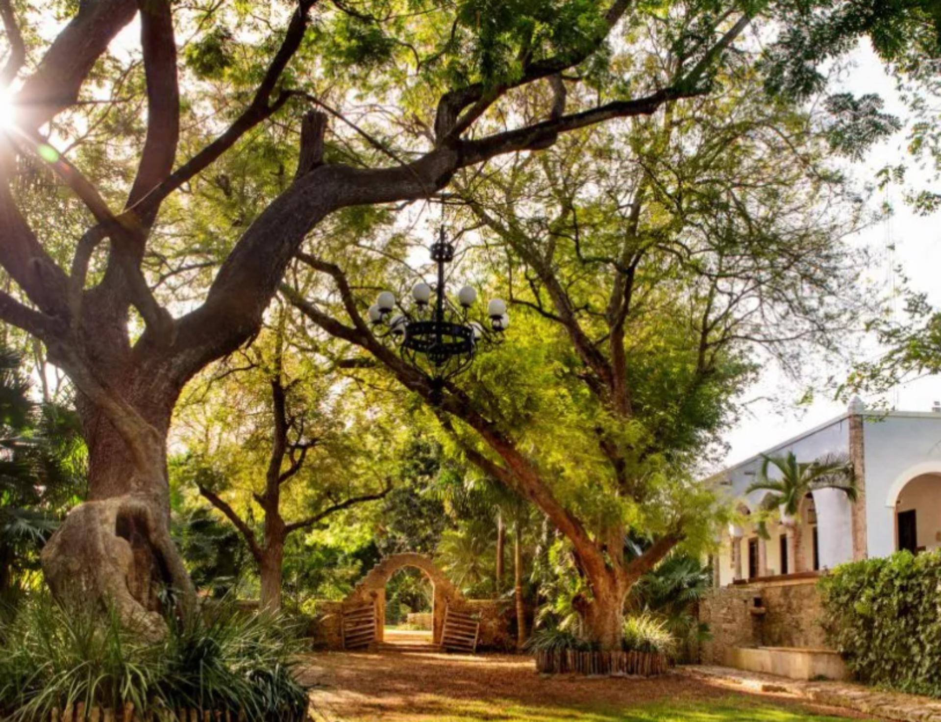 Tamarinds Garden