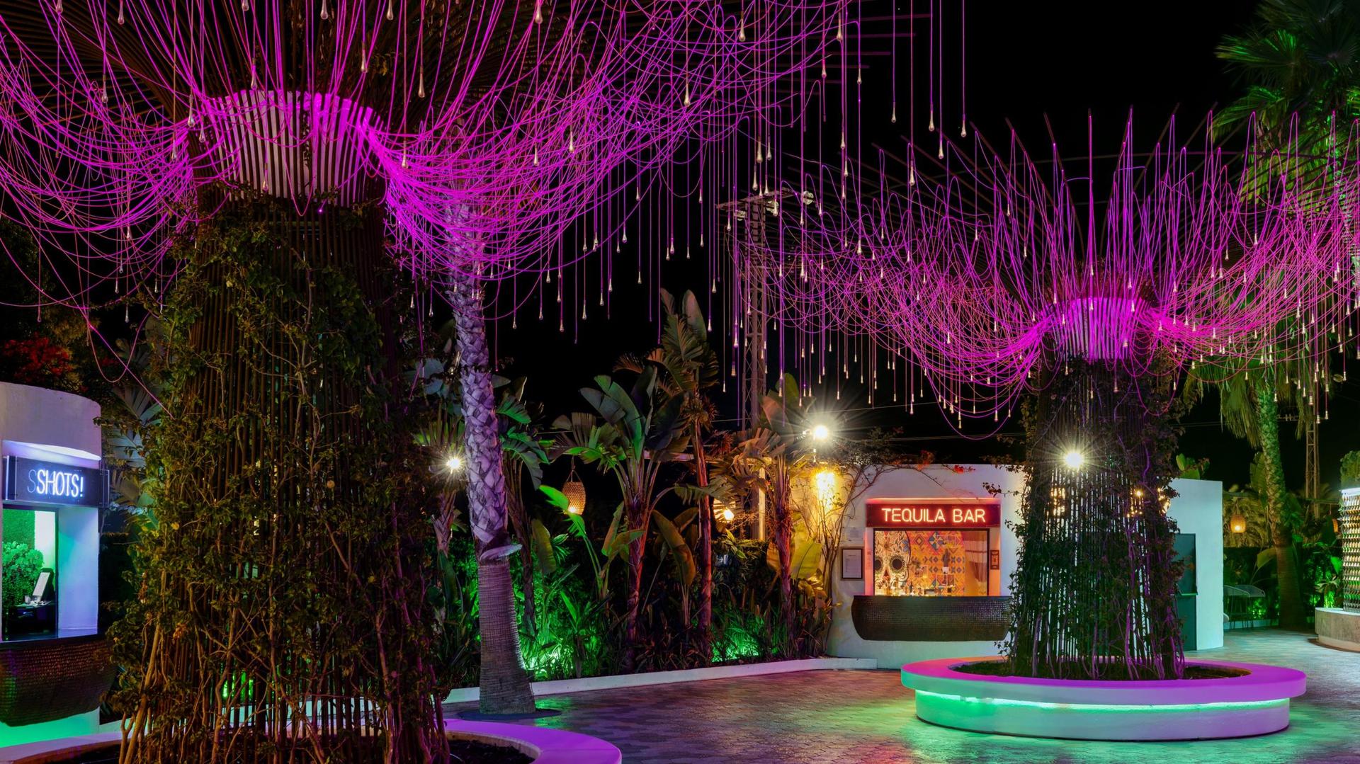 Magic Garden
