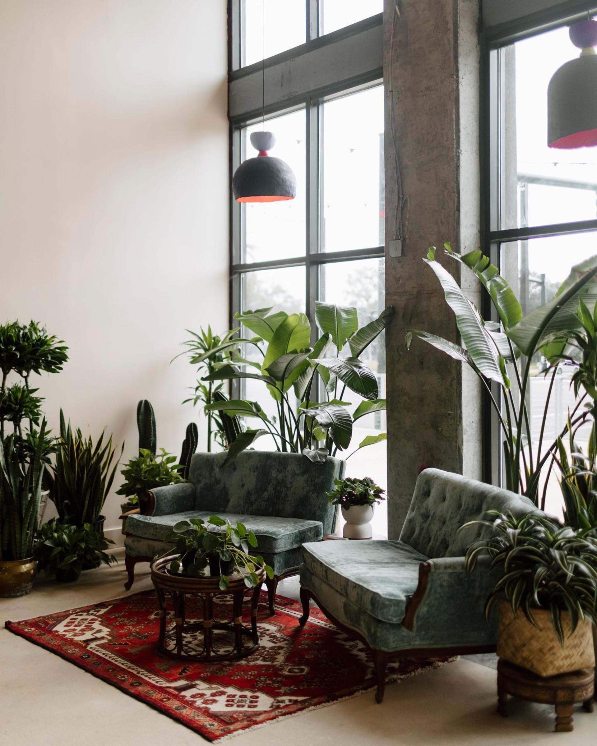 Dining Spaces