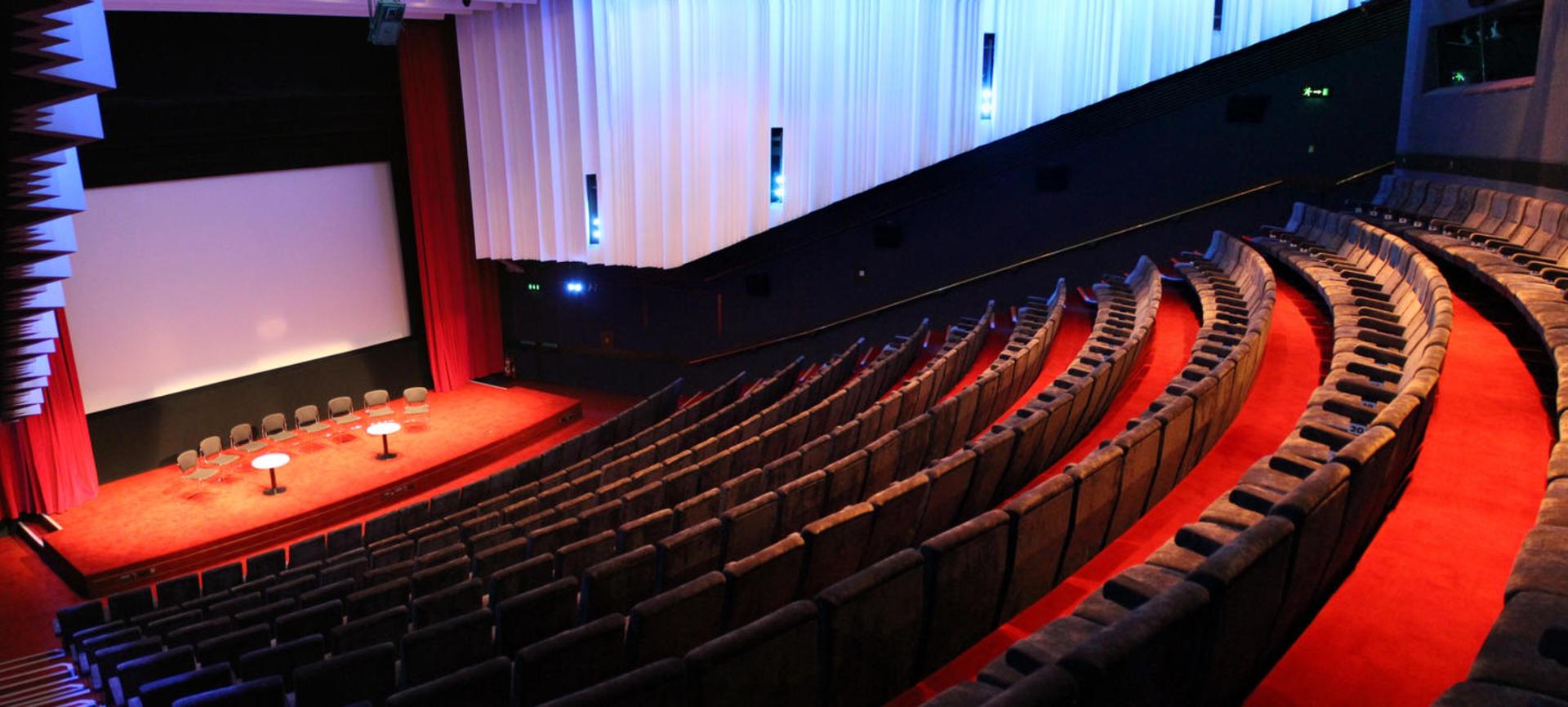 Cinema 1