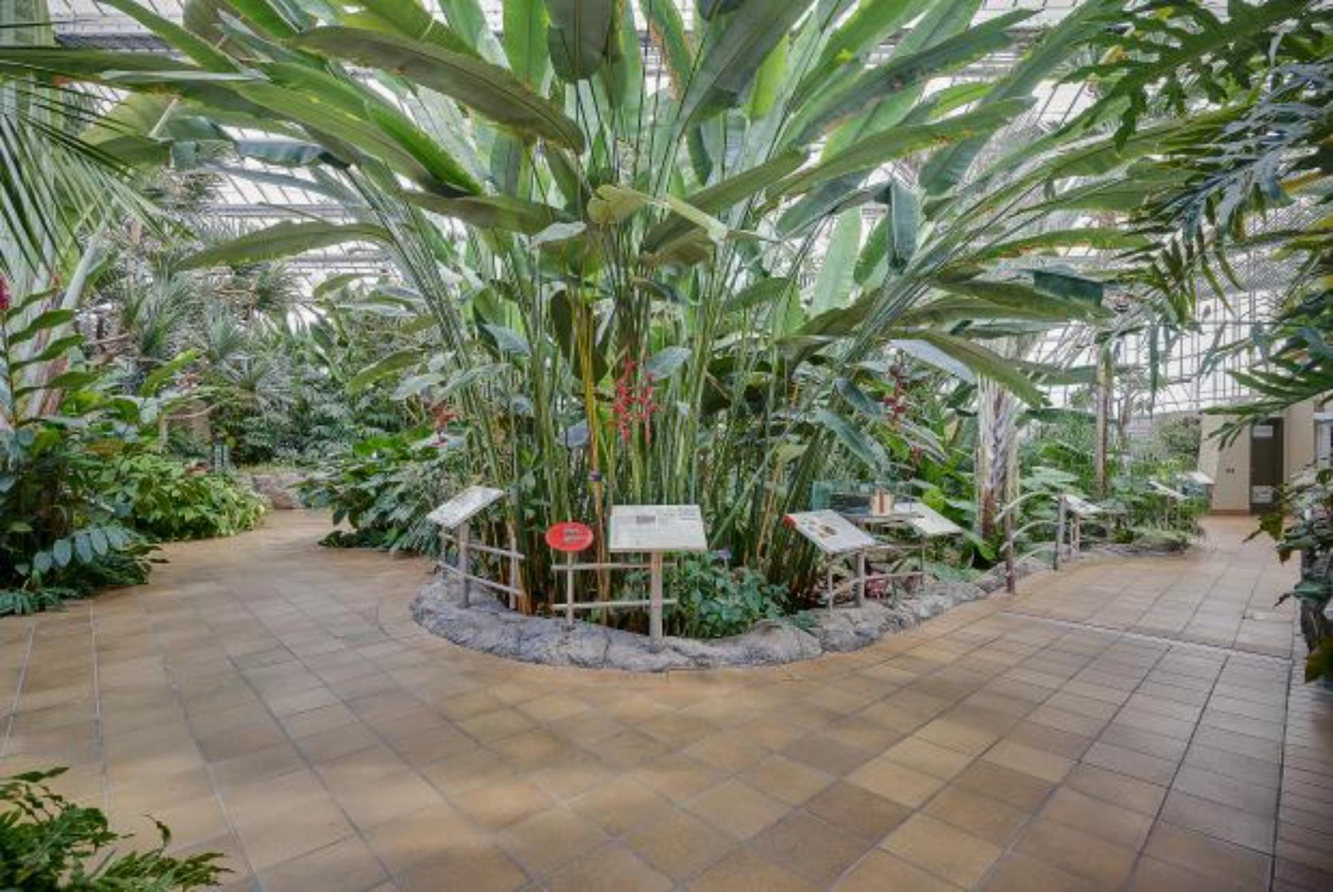 Botanical Garden - Reception Greenhouse