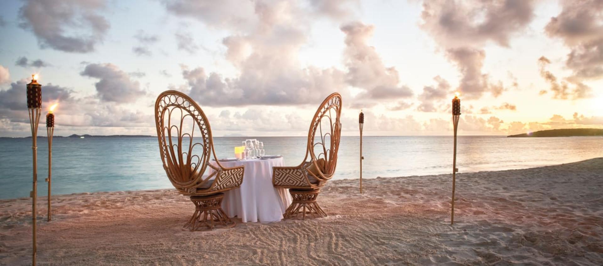 Dining Under the Stars
