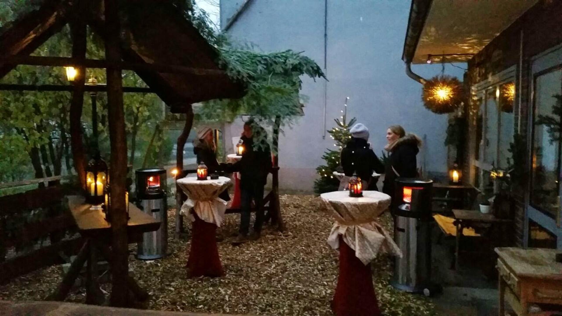 Indoor and Winter Garden
