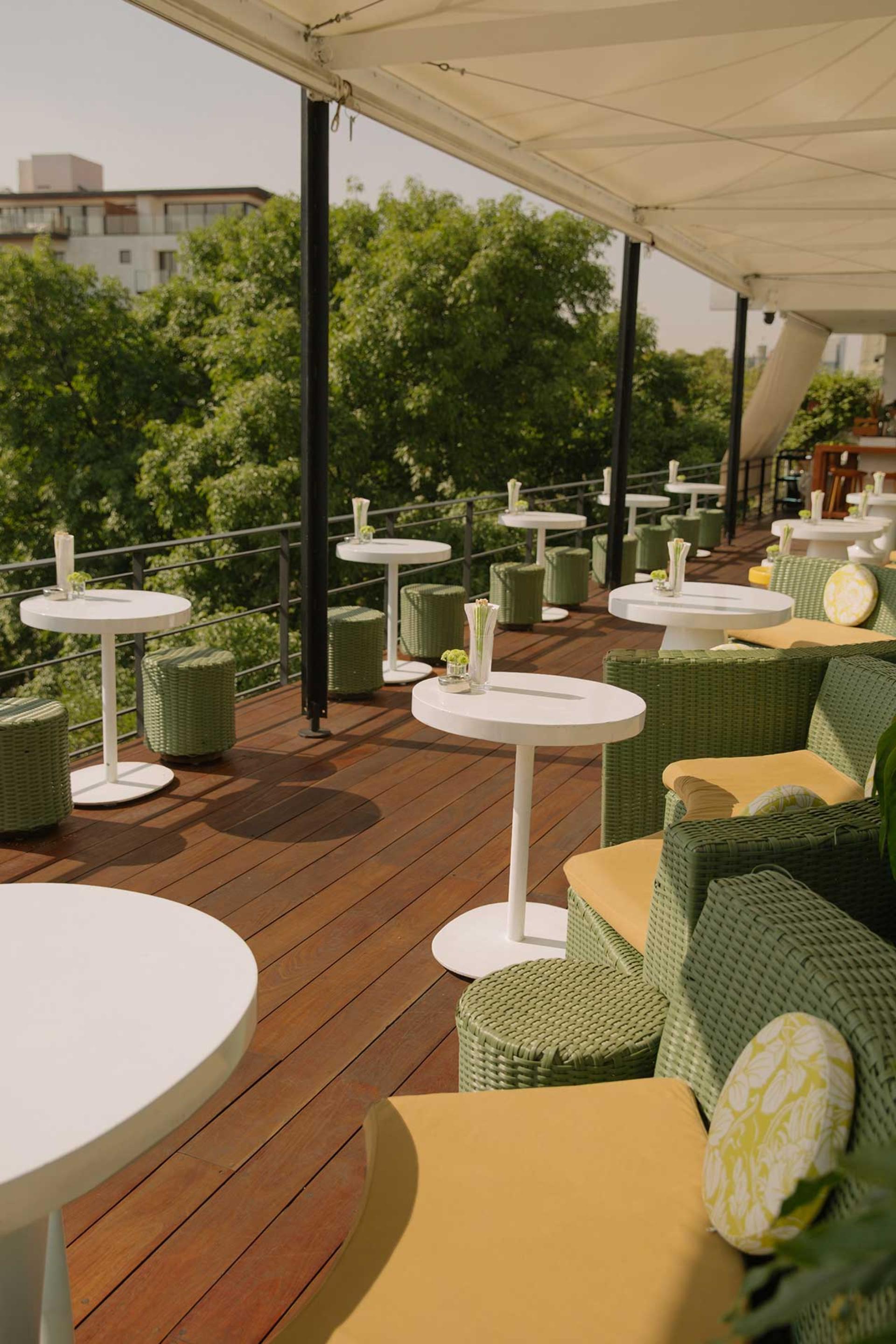 The 14 Best Rooftop Bars in Mexico City