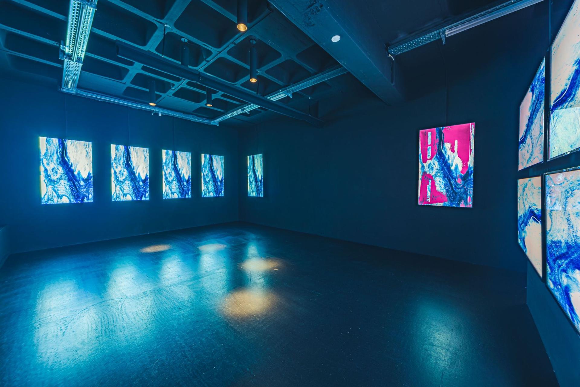 P61 Gallery