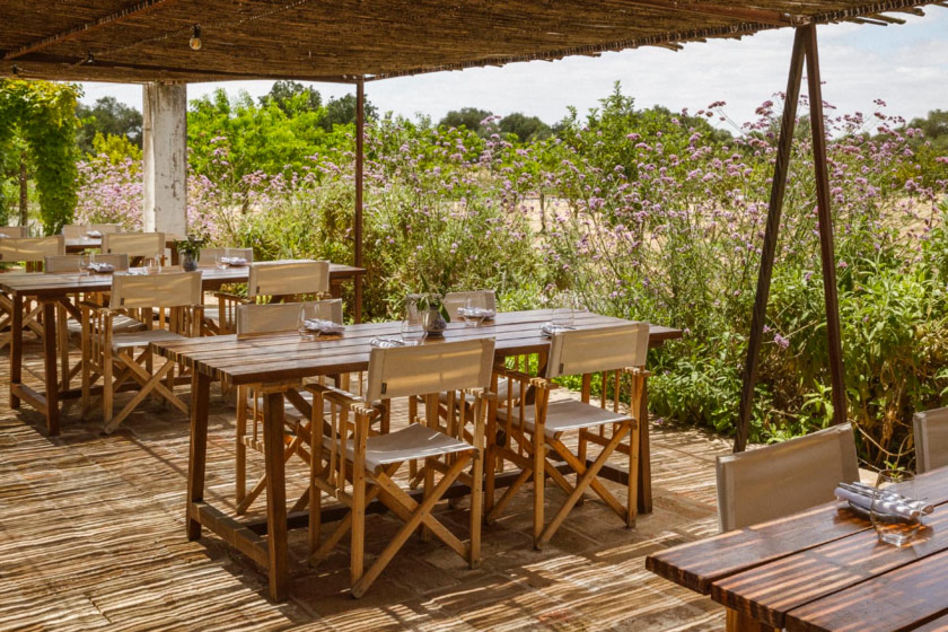 Vegetable Garden and Pool Bar