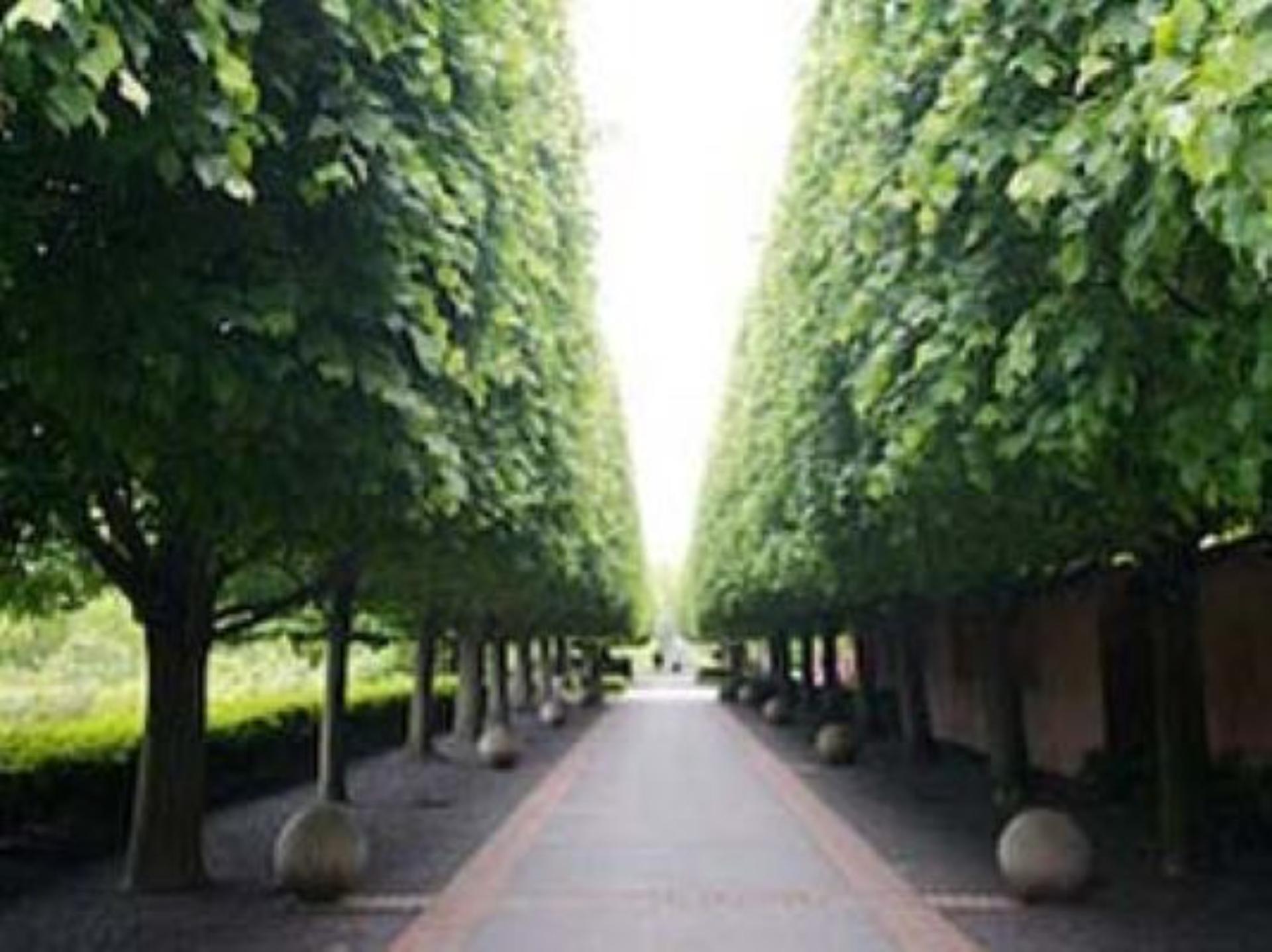 Rose Terrace