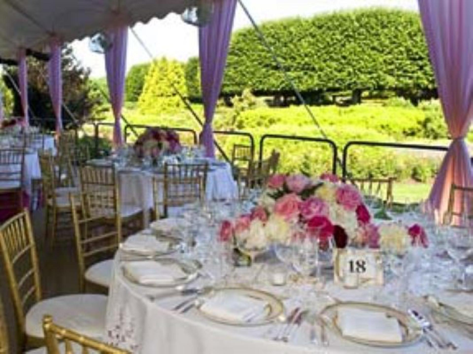 Rose Garden