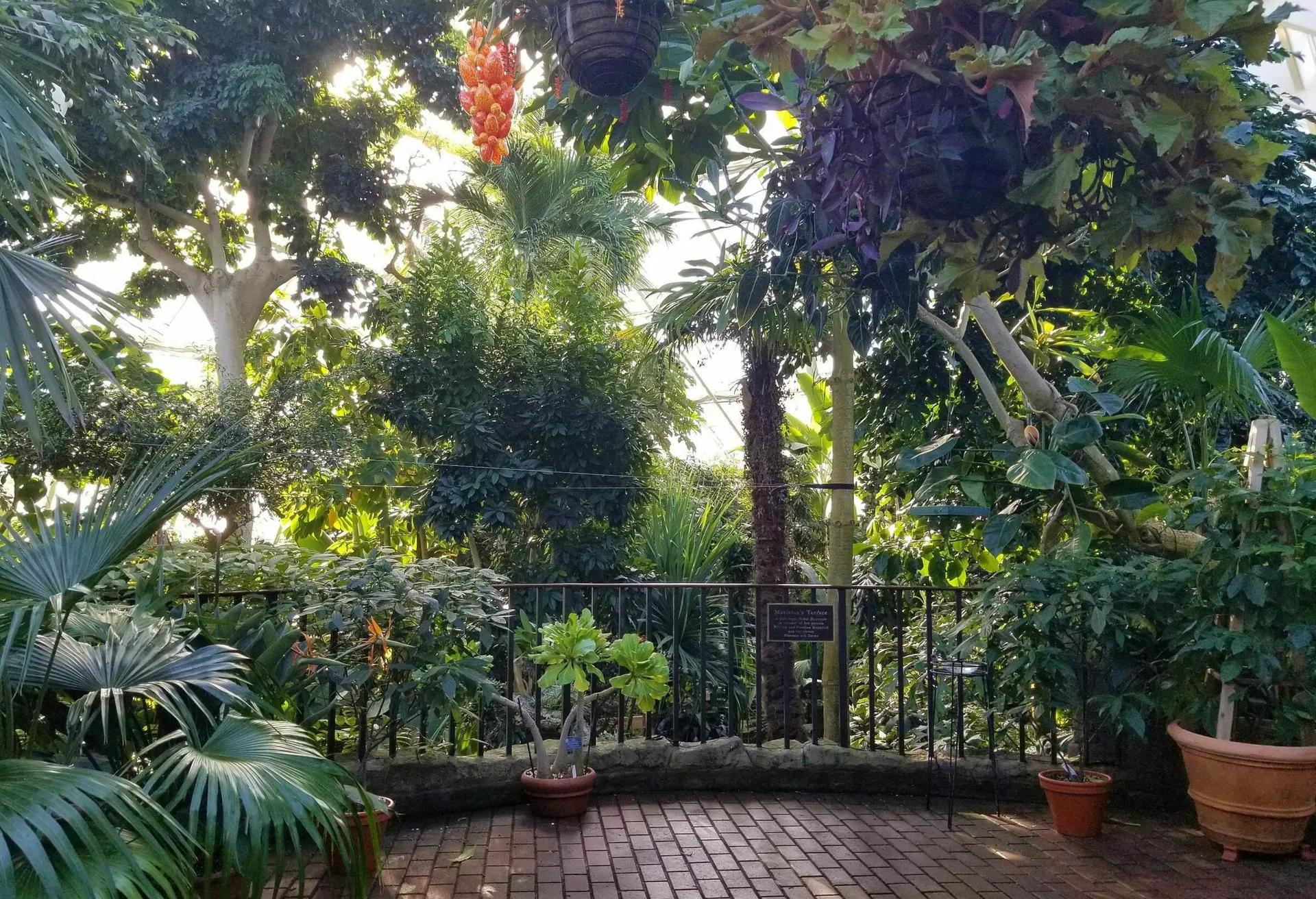 Bolz Conservatory