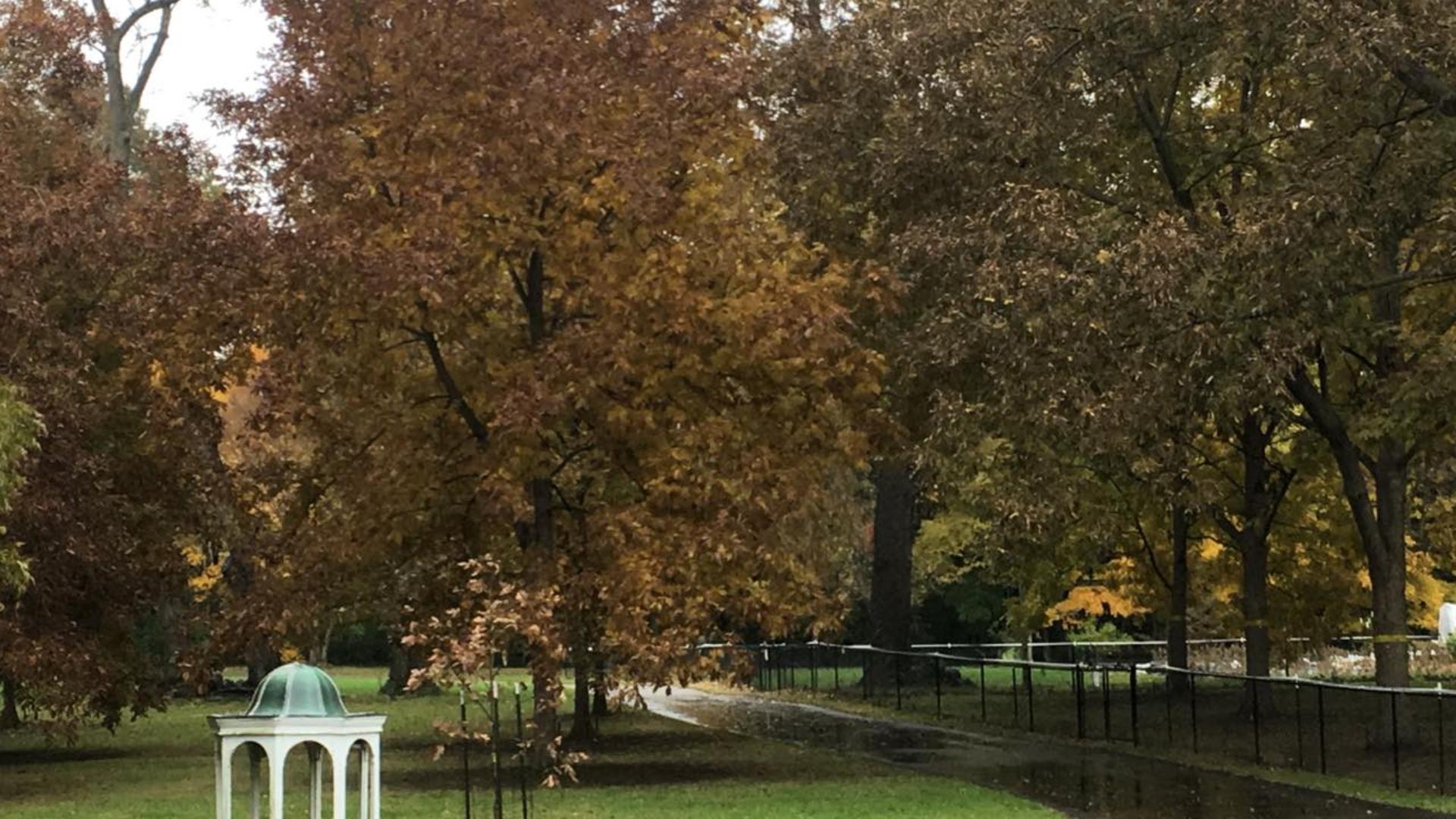 Fitness Farm Grounds