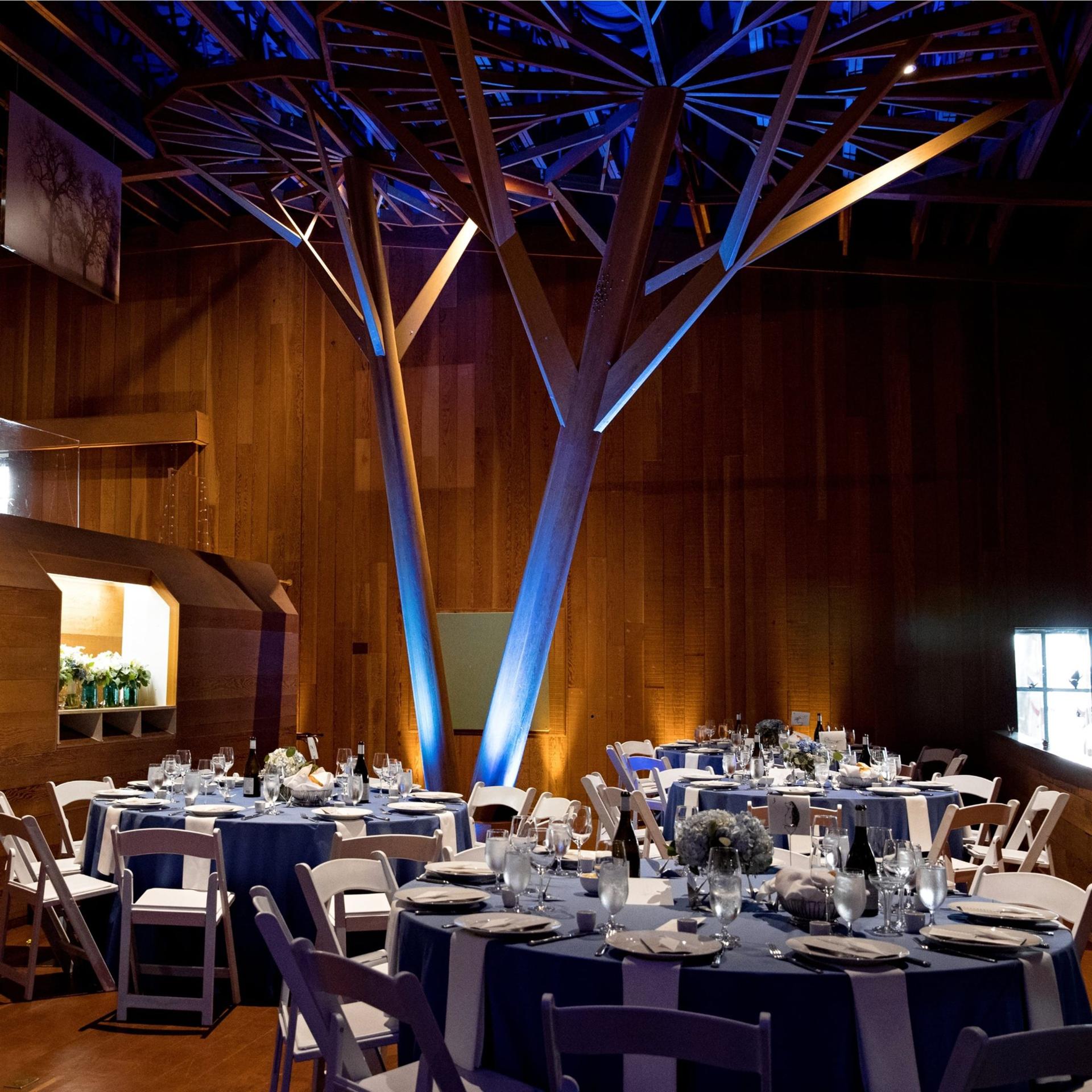 Redwood Hall