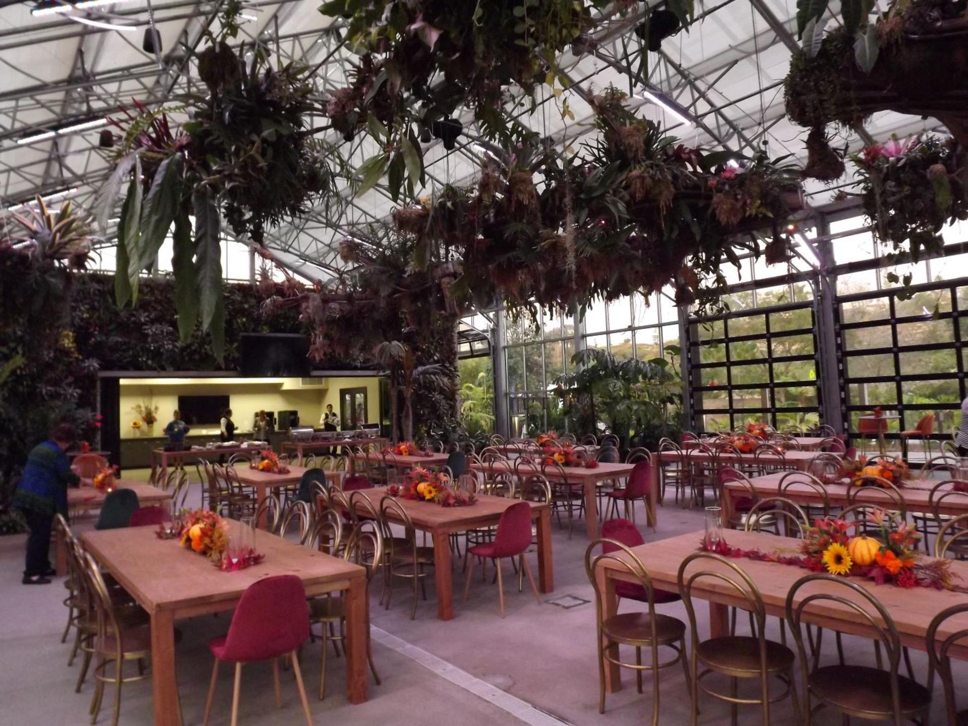 Demonstration and Catering Kitchen