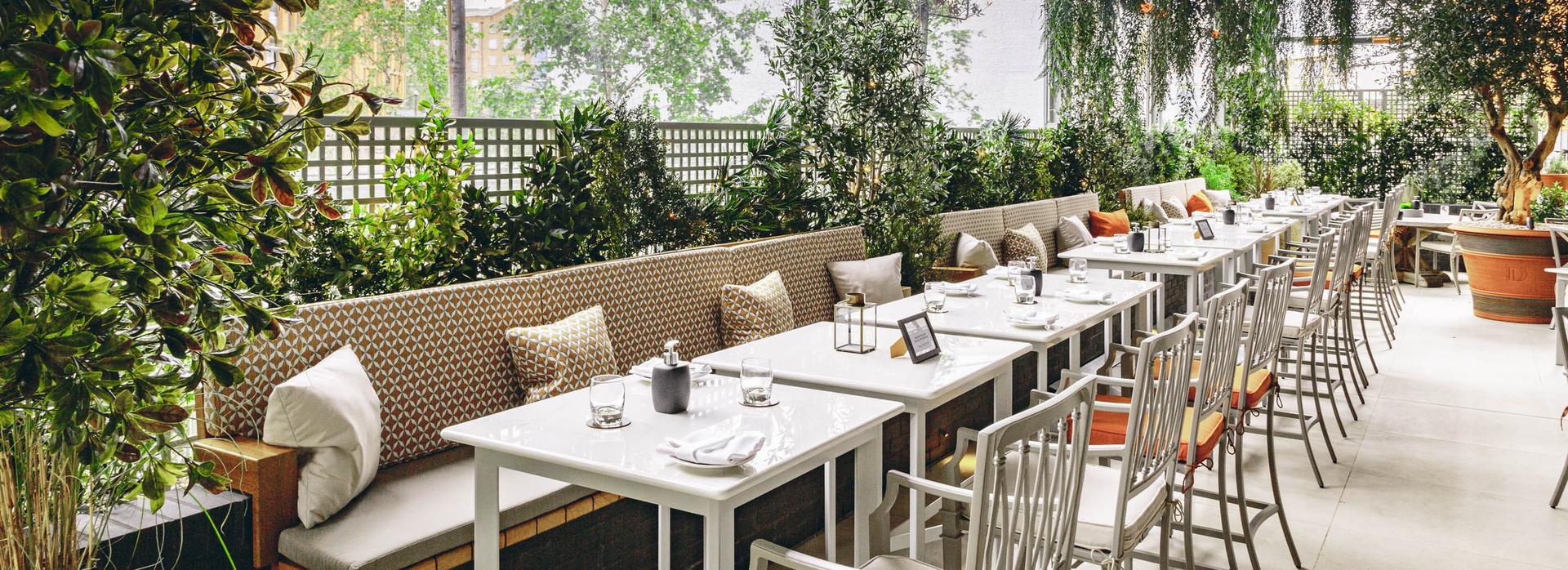 The Terrace