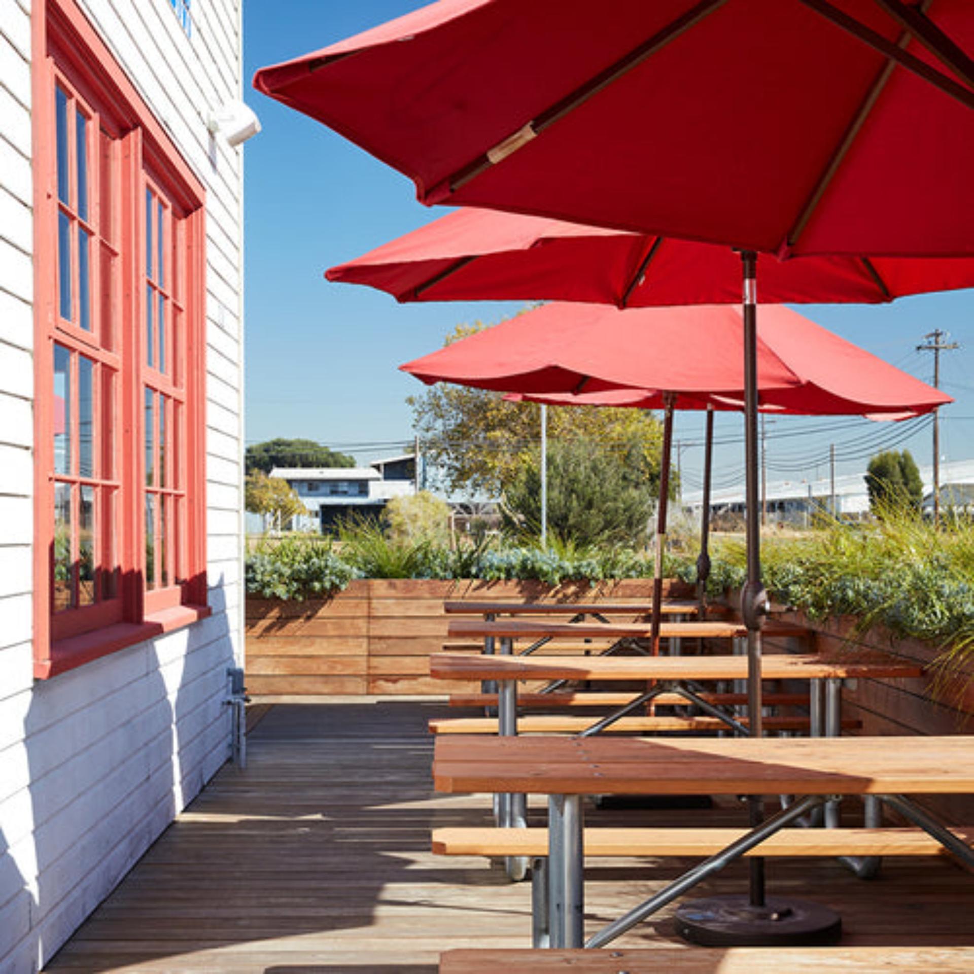 The Deck