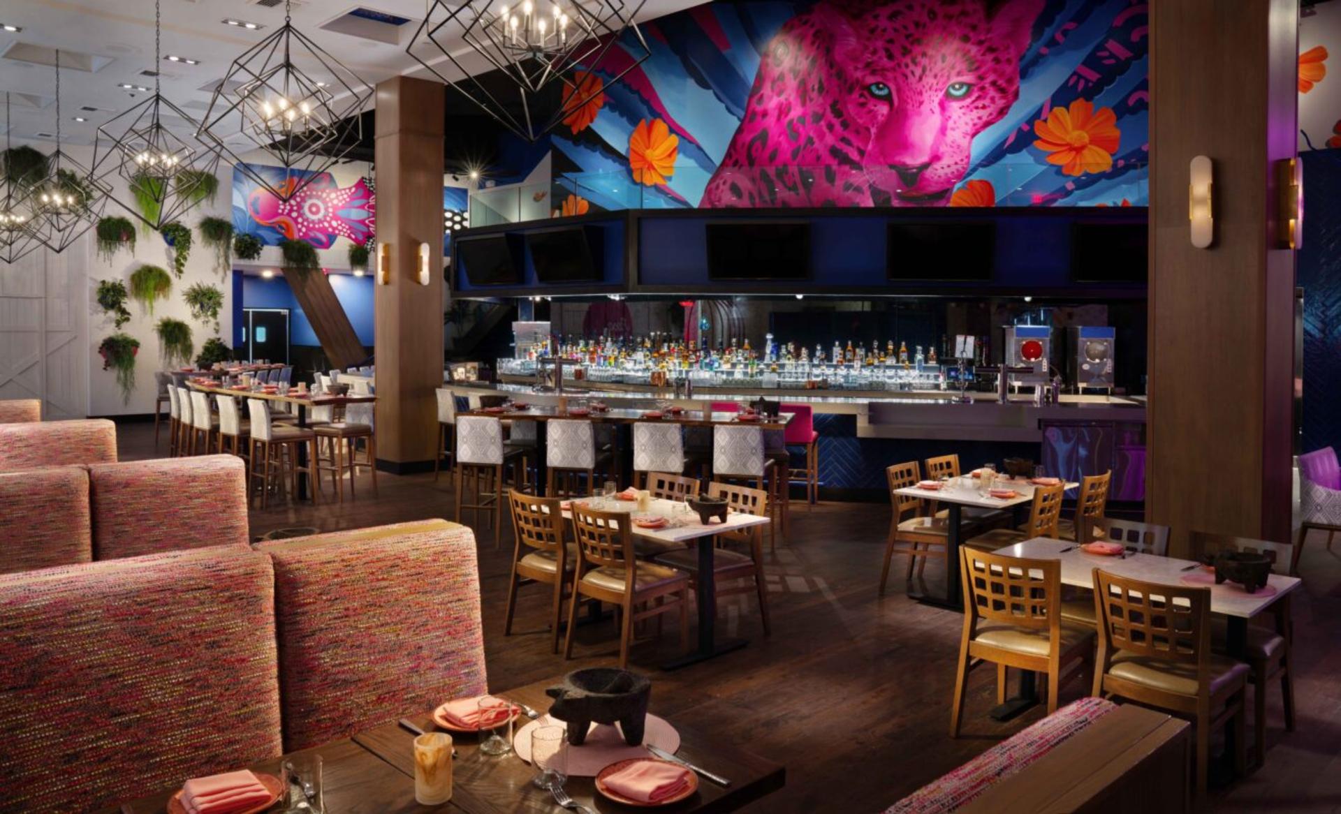 Arbol Azul Space (front bar)