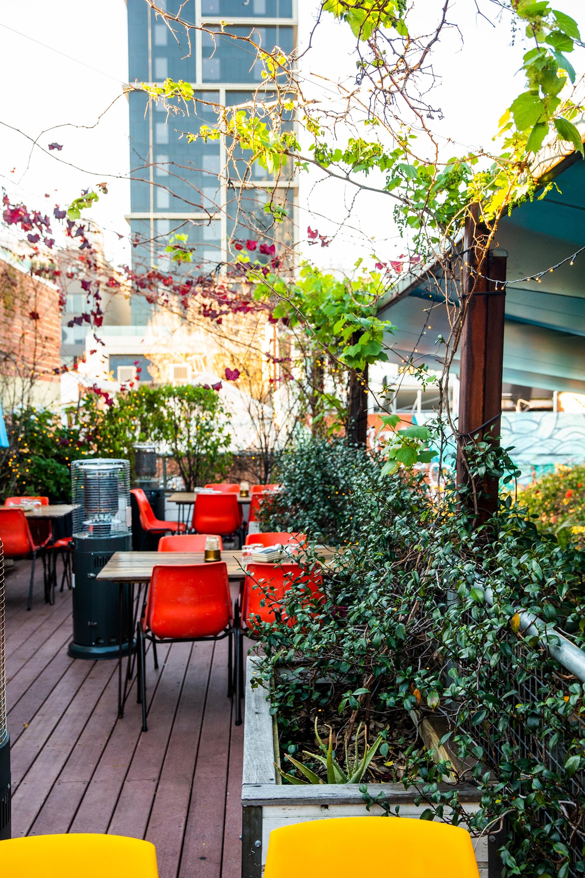 The Deck