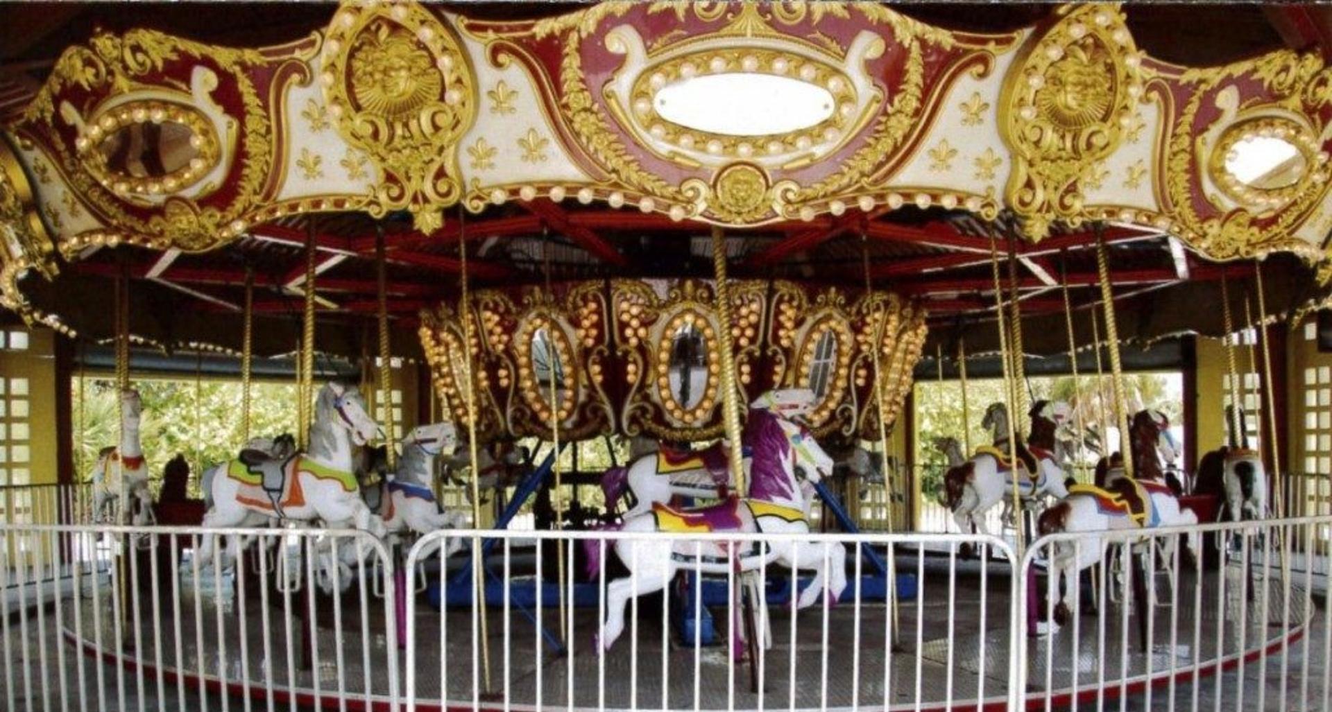 The Carousel