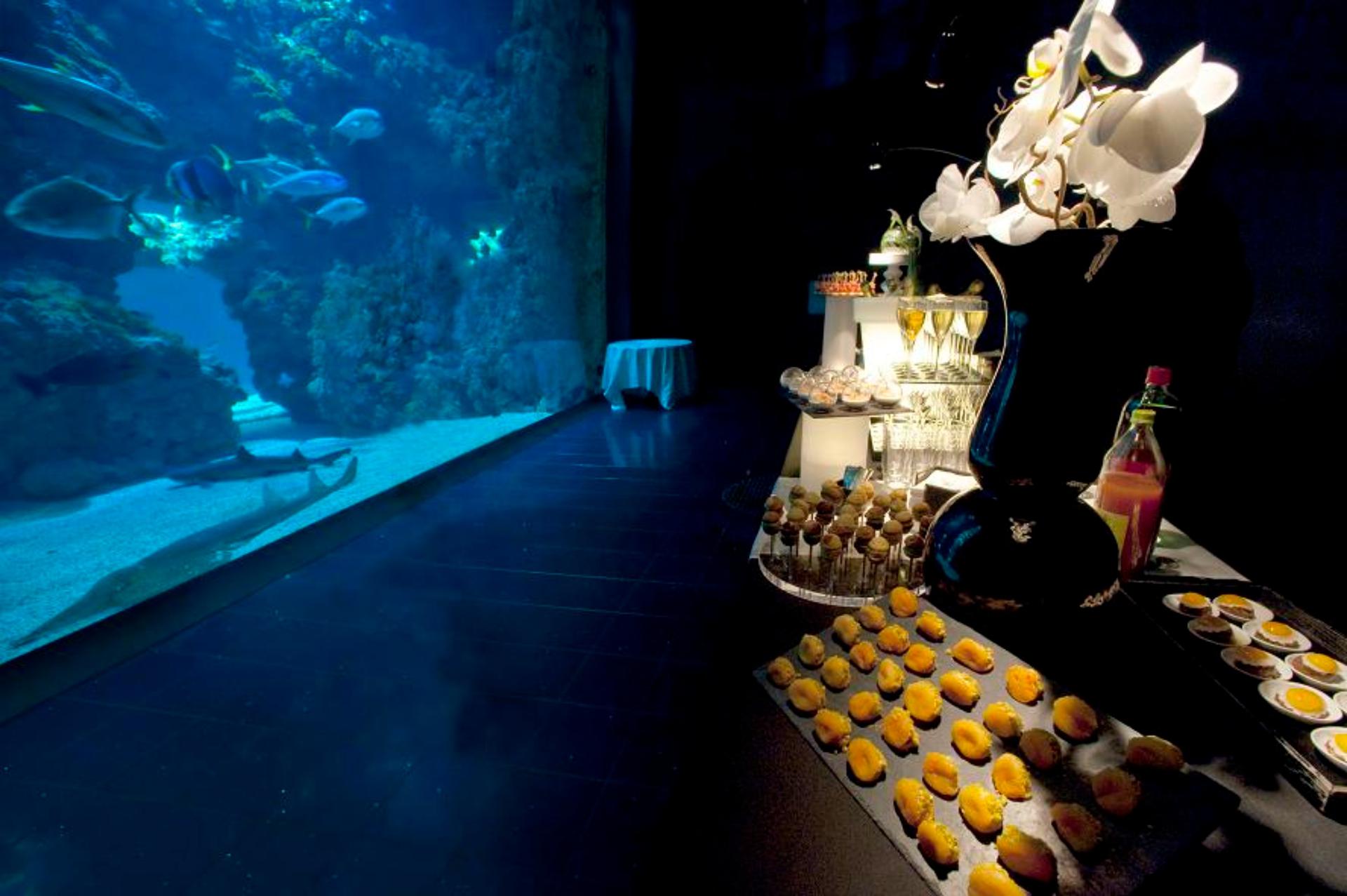 Aquarium