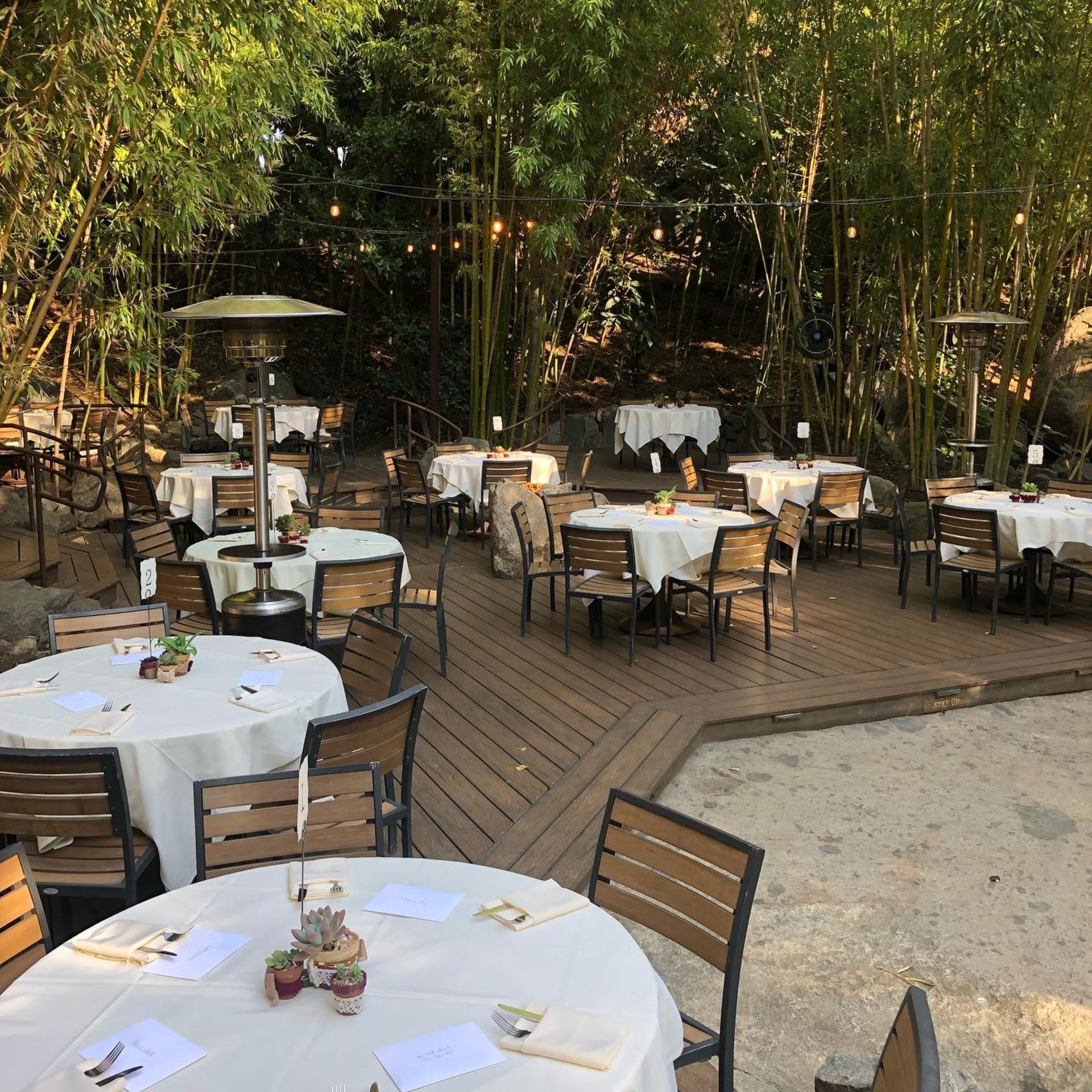 Upper Garden & Deck